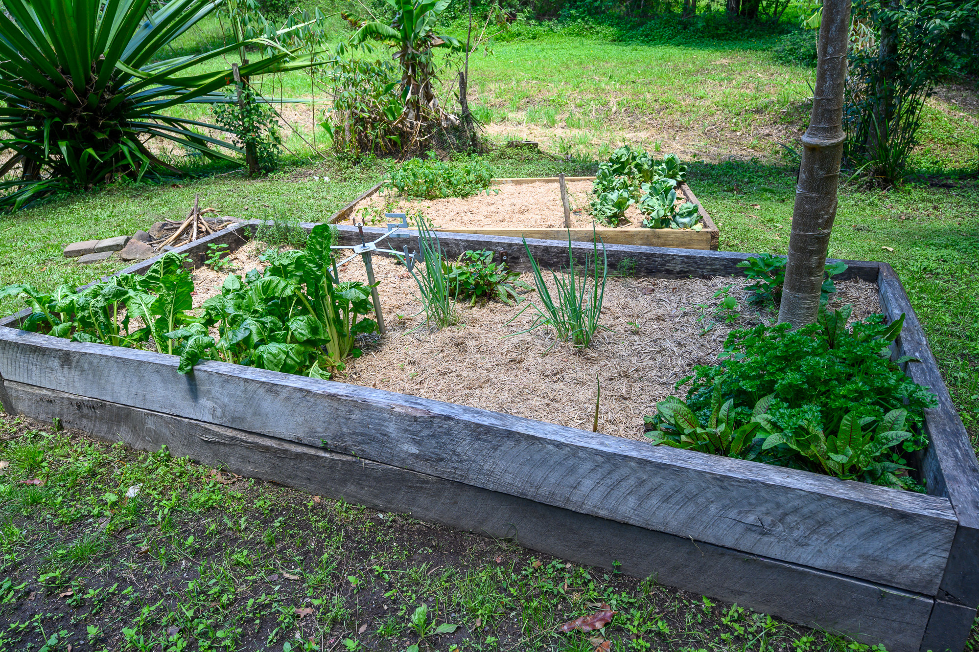 2-bedroom house at 38 Cooloon Street, Kunghur, NSW 2484, Tweed, New South Wales