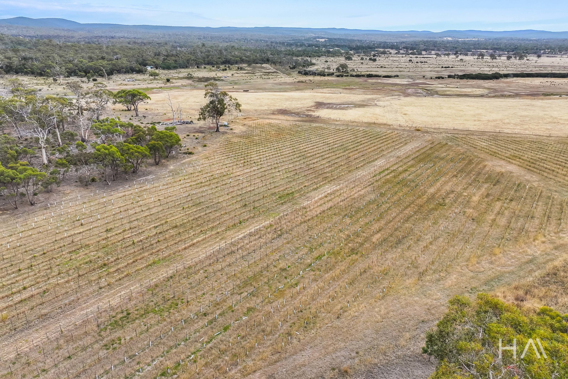 Lot 50 Springs Road, Swansea, Tas, 7190 - Image 9