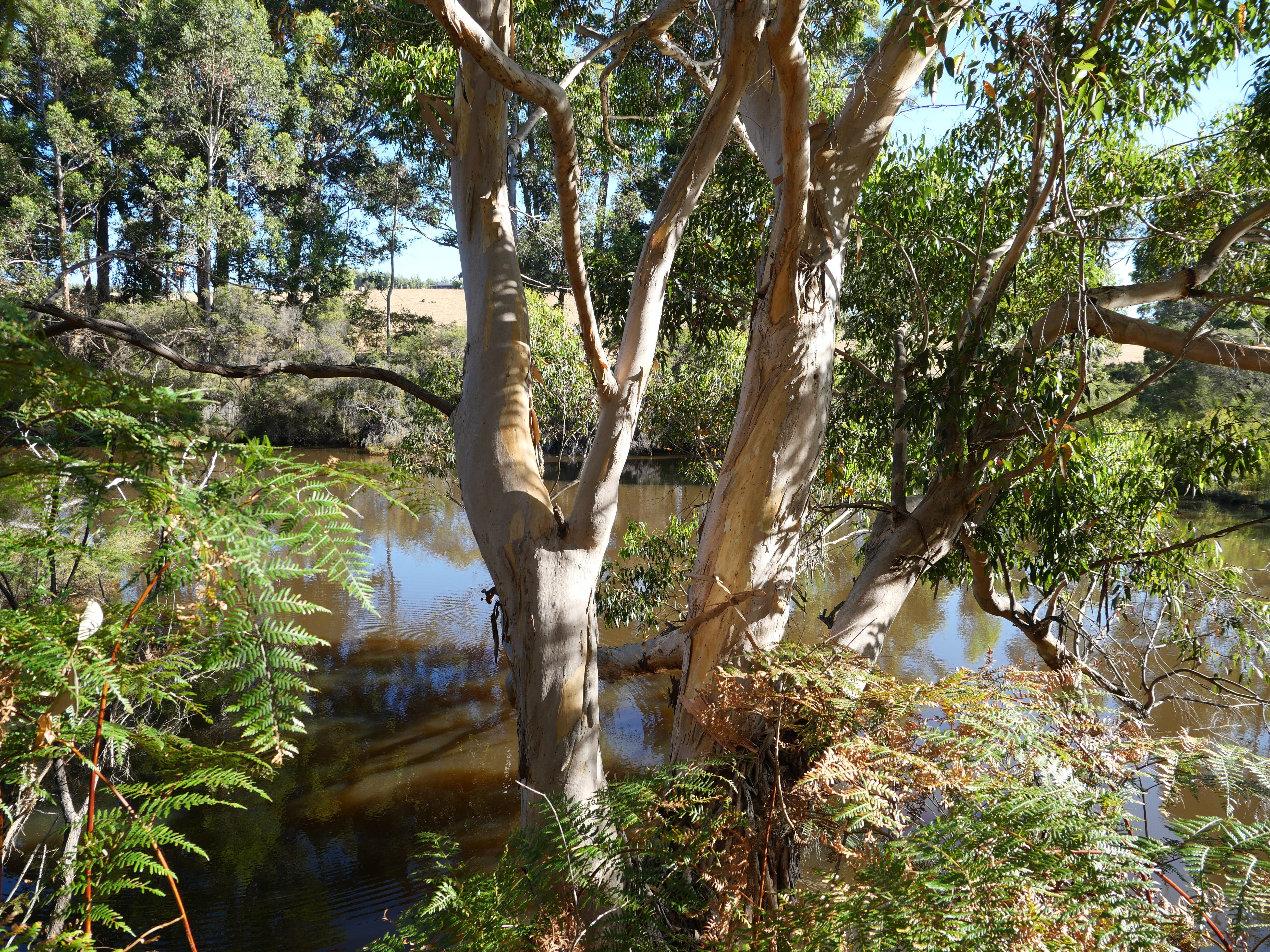 1-bedroom unit at 61 Hayes Road, East Nannup, WA 6275, Nannup, Western Australia