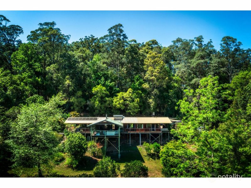 140 Kalang Road, Bellingen, Nsw, 2454 - Image 3