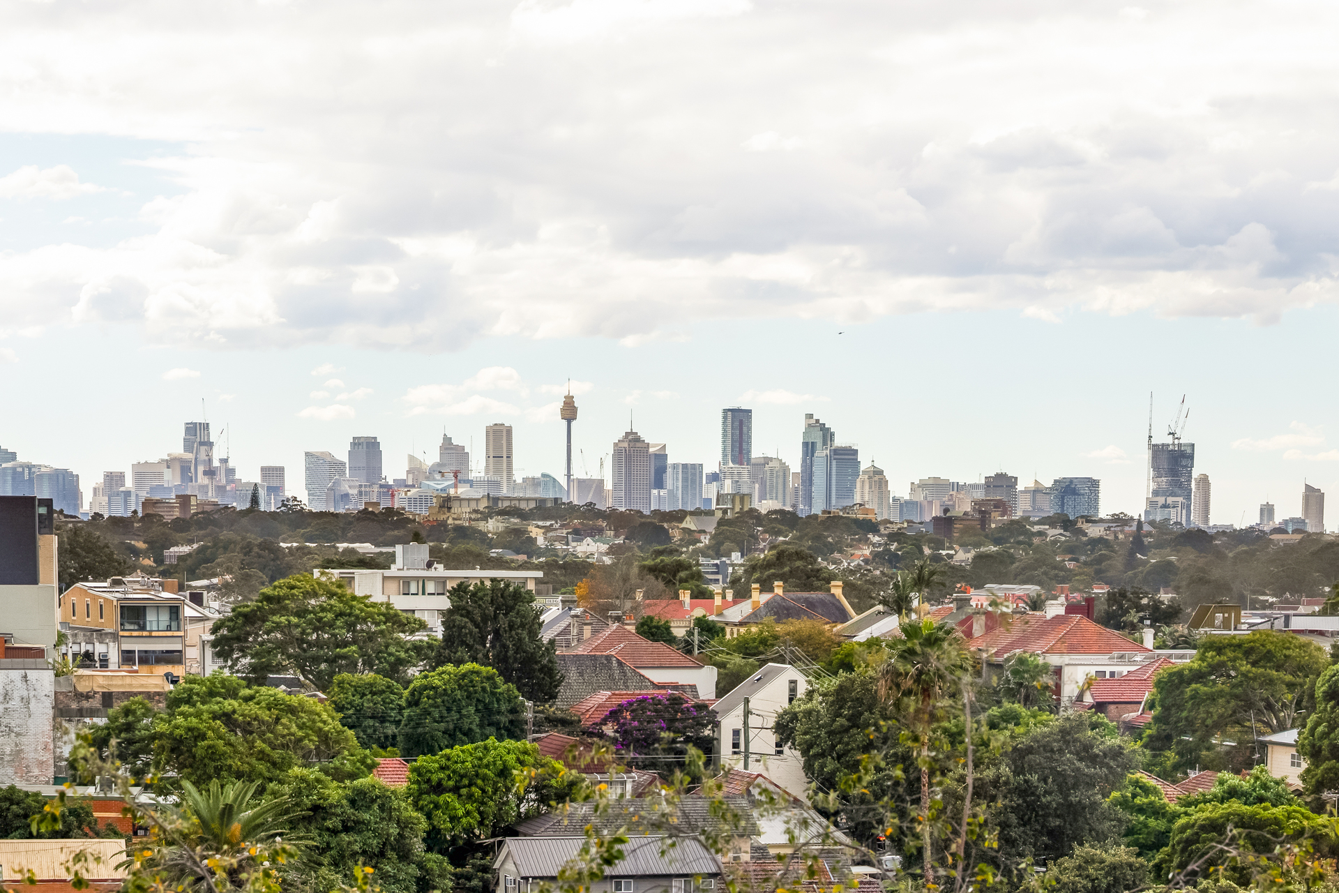 1-bedroom unit at 703C/359 Illawarra Road, Marrickville, NSW 2204, Inner West, New South Wales