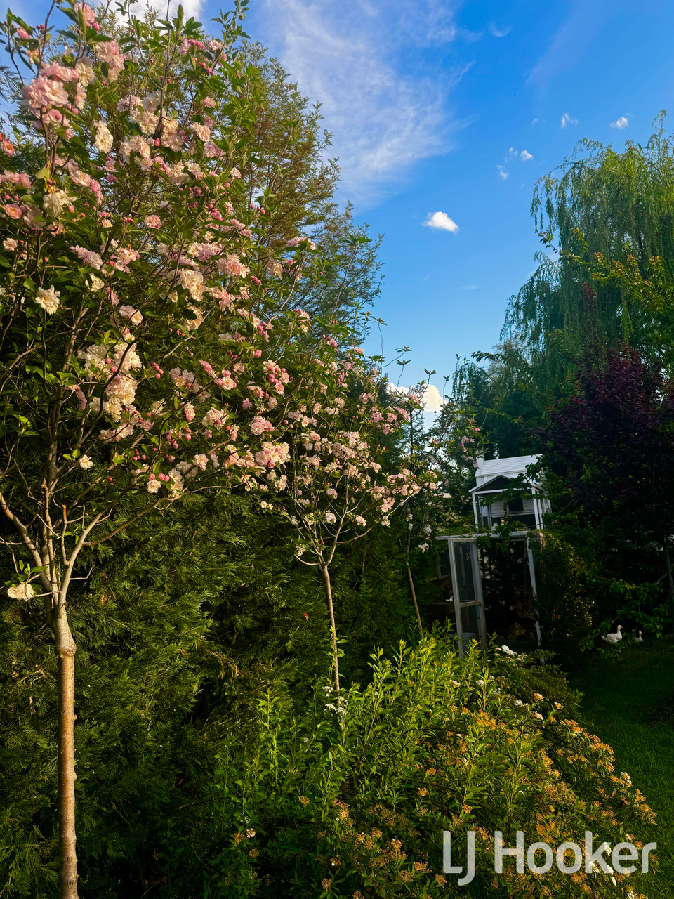 24 High Street, Inverell, NSW 2360 - Image 9