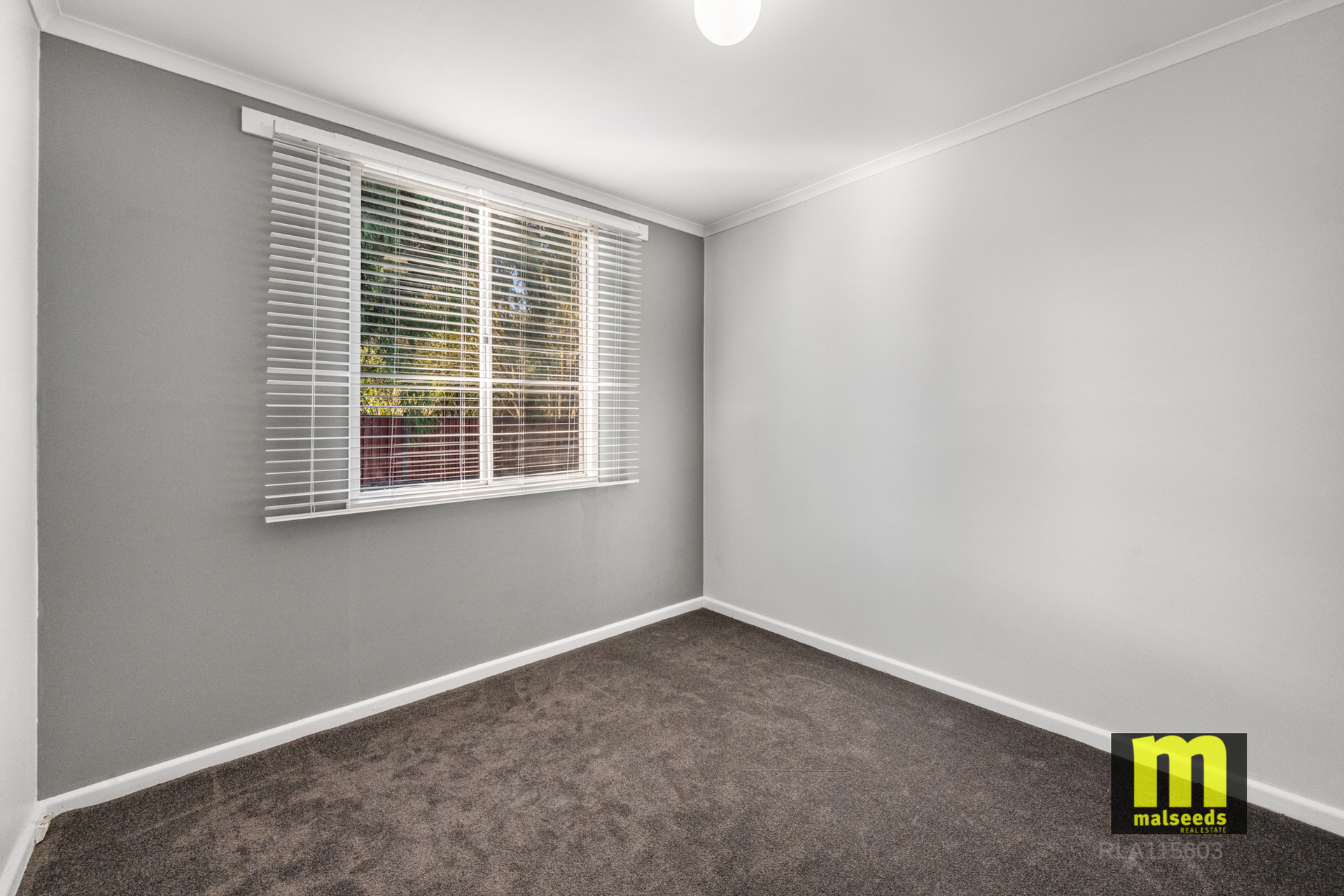 3-bedroom house at 29765 Princes Highway, Millicent, SA 5280, Wattle Range, South Australia