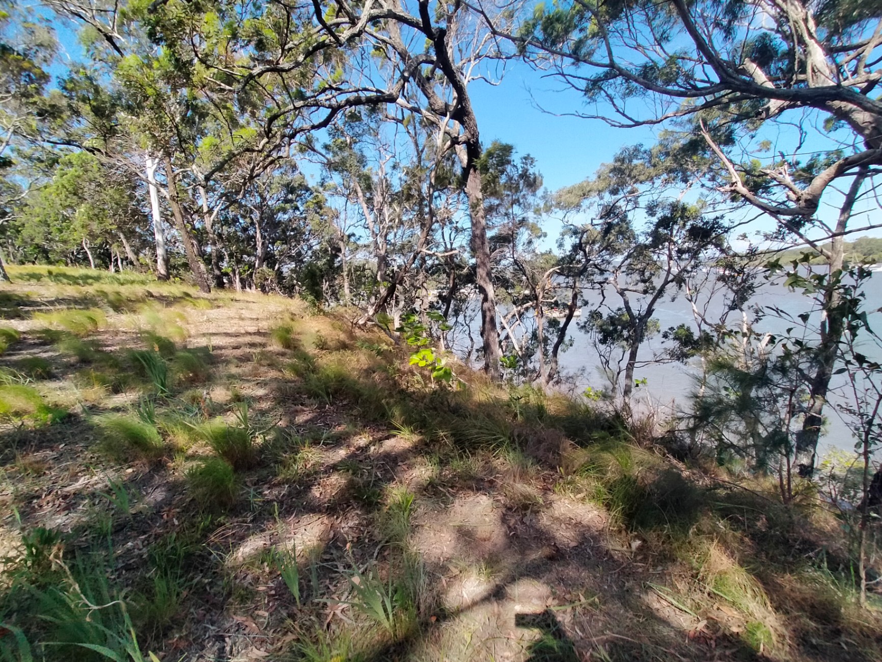 0-bedroom unit at 6 High Central Road, Macleay Island, Qld, 4184, Redland, Queensland