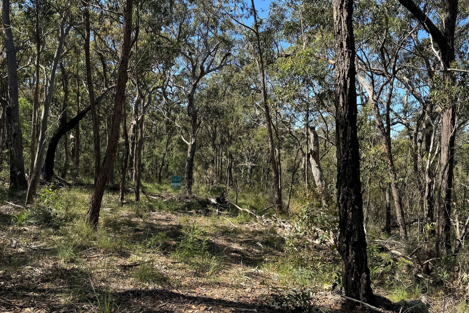 22 Carrington Avenue, Pindimar, Nsw, 2324 - Image 3