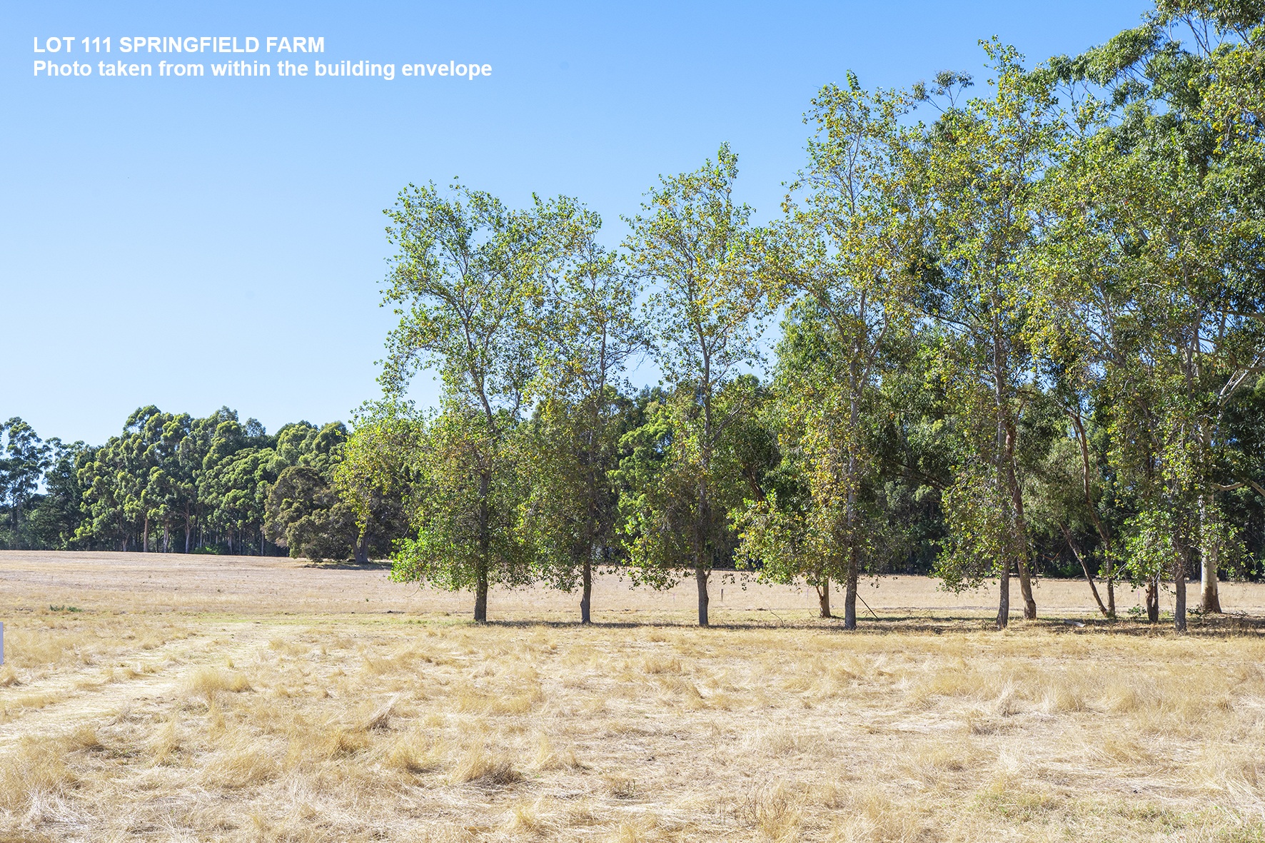 111 Springfield Farm, Yallingup, Wa, 6282 - Image 3