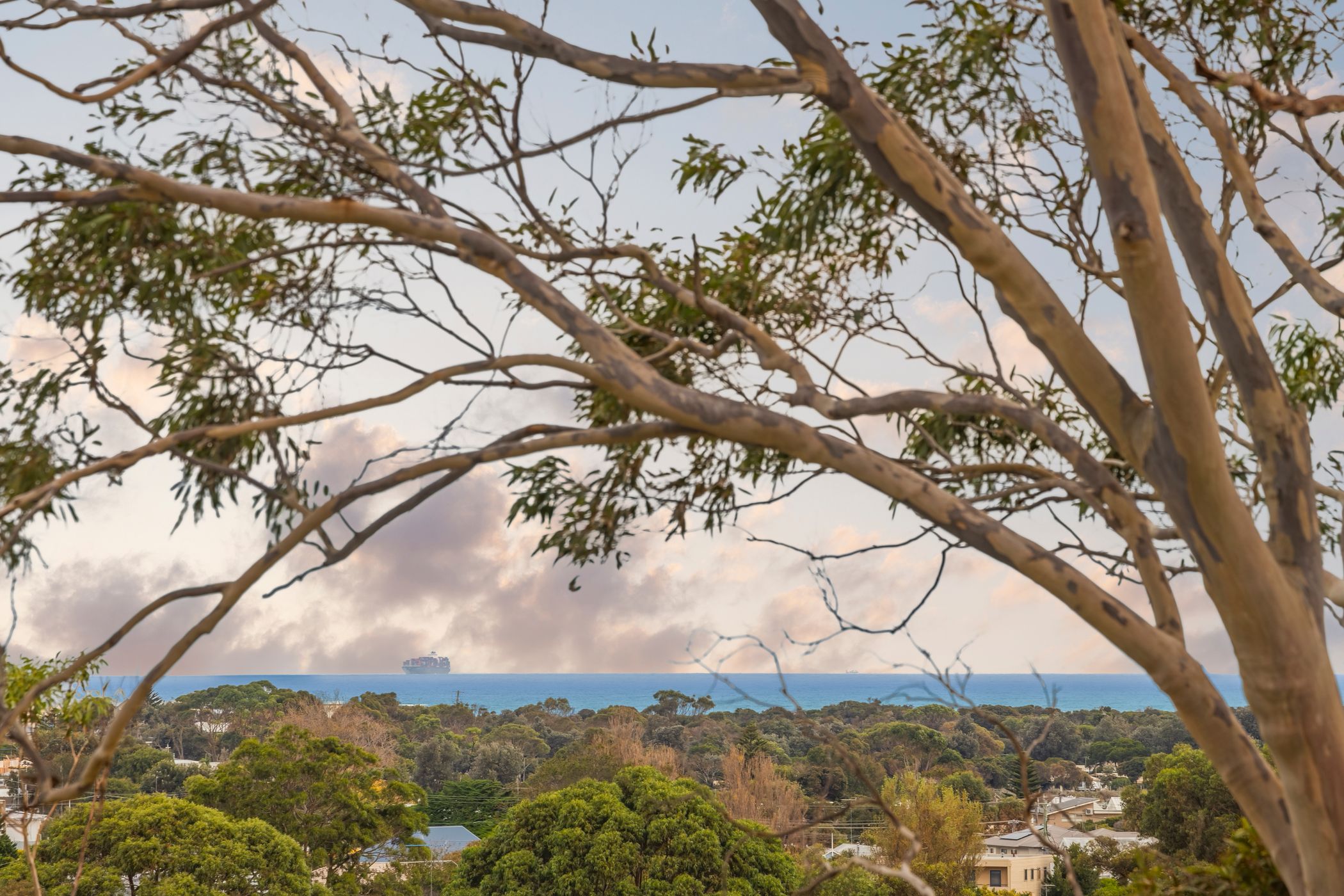 8B Driftwood Street, Ocean Grove, Vic, 3226 - Image 9