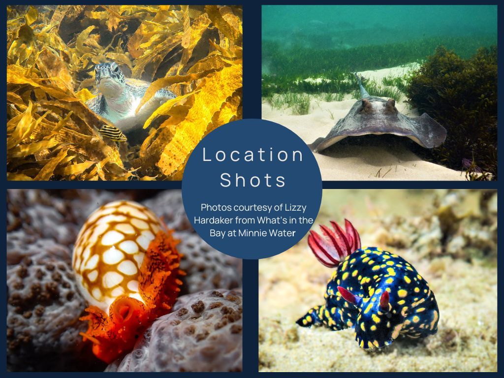 2-bedroom house at 13 Banksia Street, Minnie Water, Nsw, 2462, Clarence Valley, New South Wales