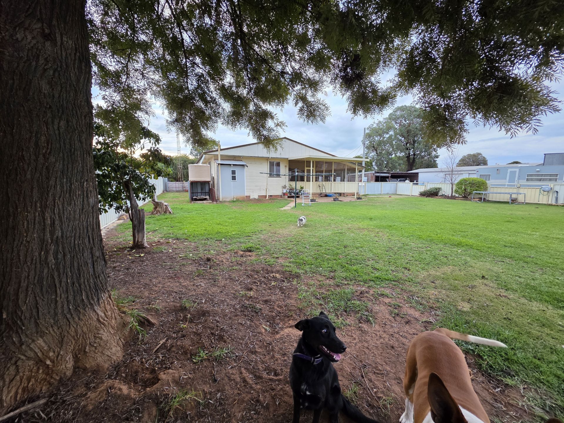 4-bedroom house at 50 Dallas Street, Yanco, NSW 2703, Leeton, New South Wales