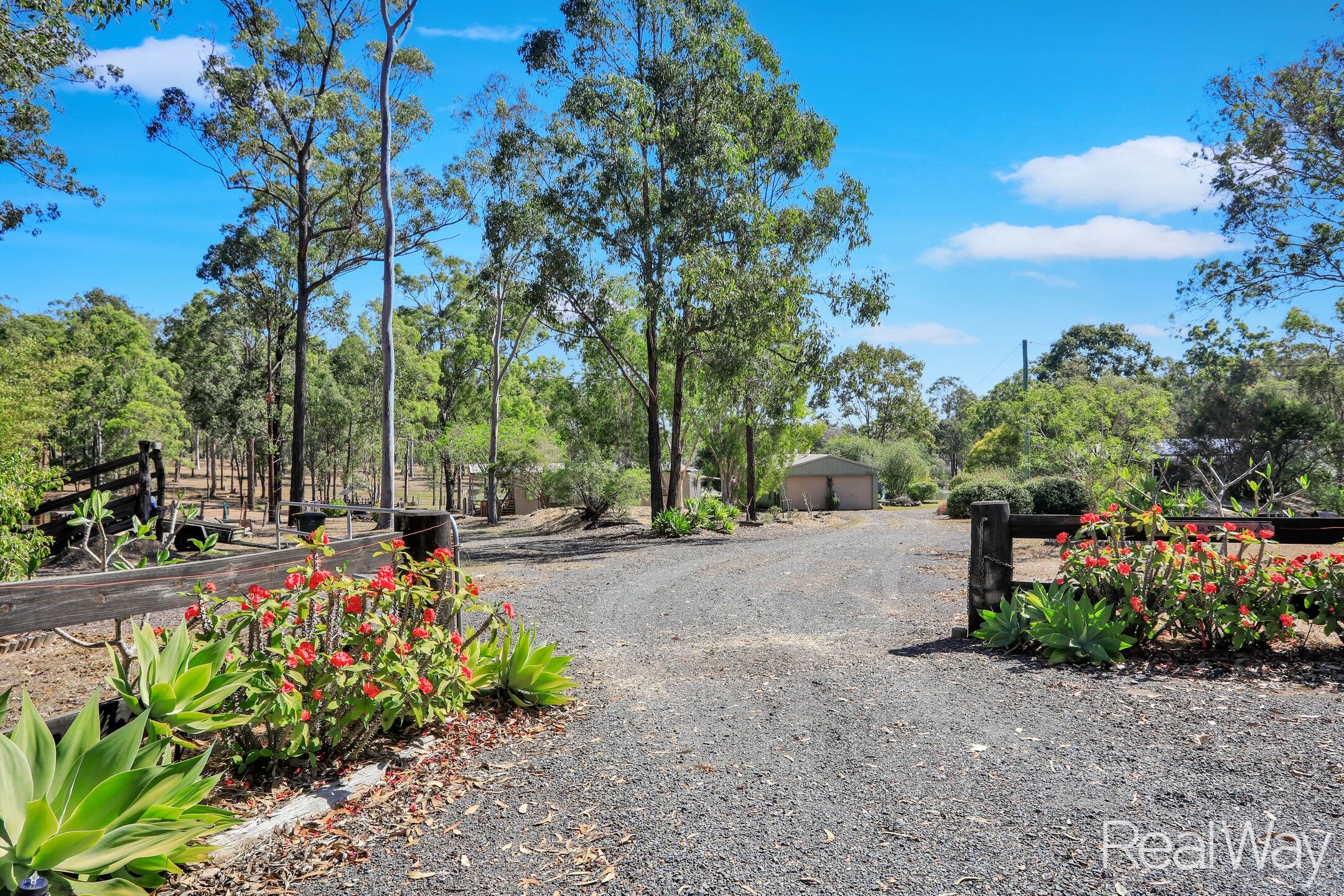 105 Reads Road, Bucca, QLD 4670 - Image 5