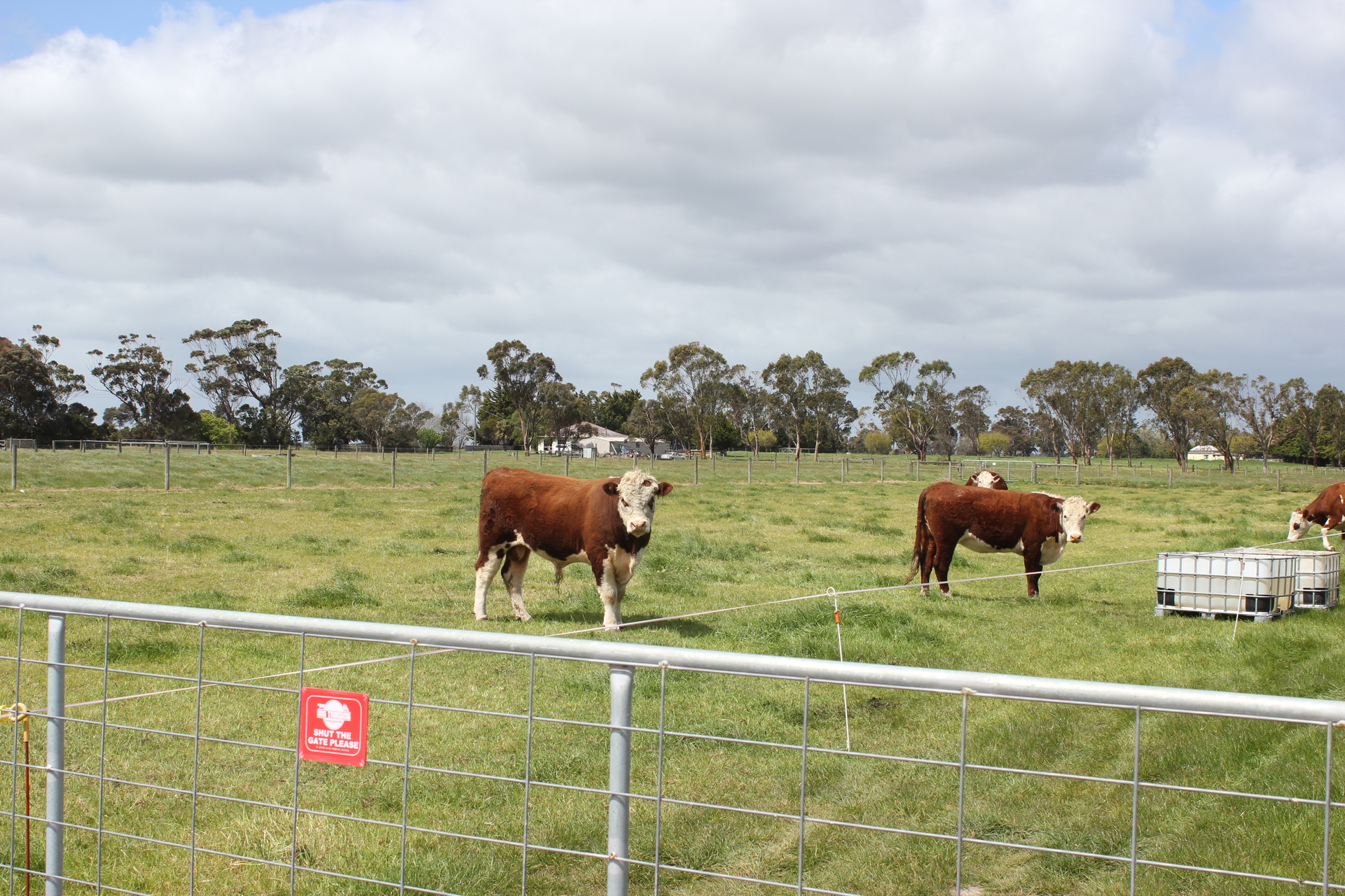 1-bedroom unit at 1/1 Pound Road West , Yarram, Vic, 3971, Wellington, Victoria