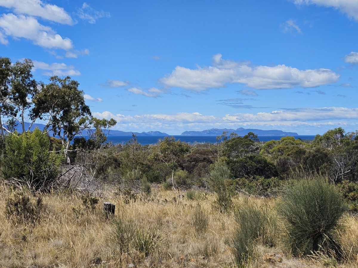 5 Addison Street, Swansea, Tas, 7190 - Image 1