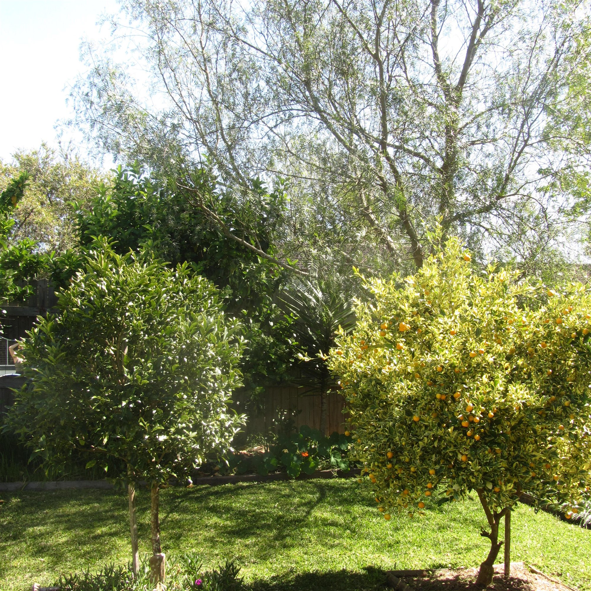 4-bedroom house at 11 PINE CLOSE, Gloucester NSW 2422, Mid-Coast, New South Wales