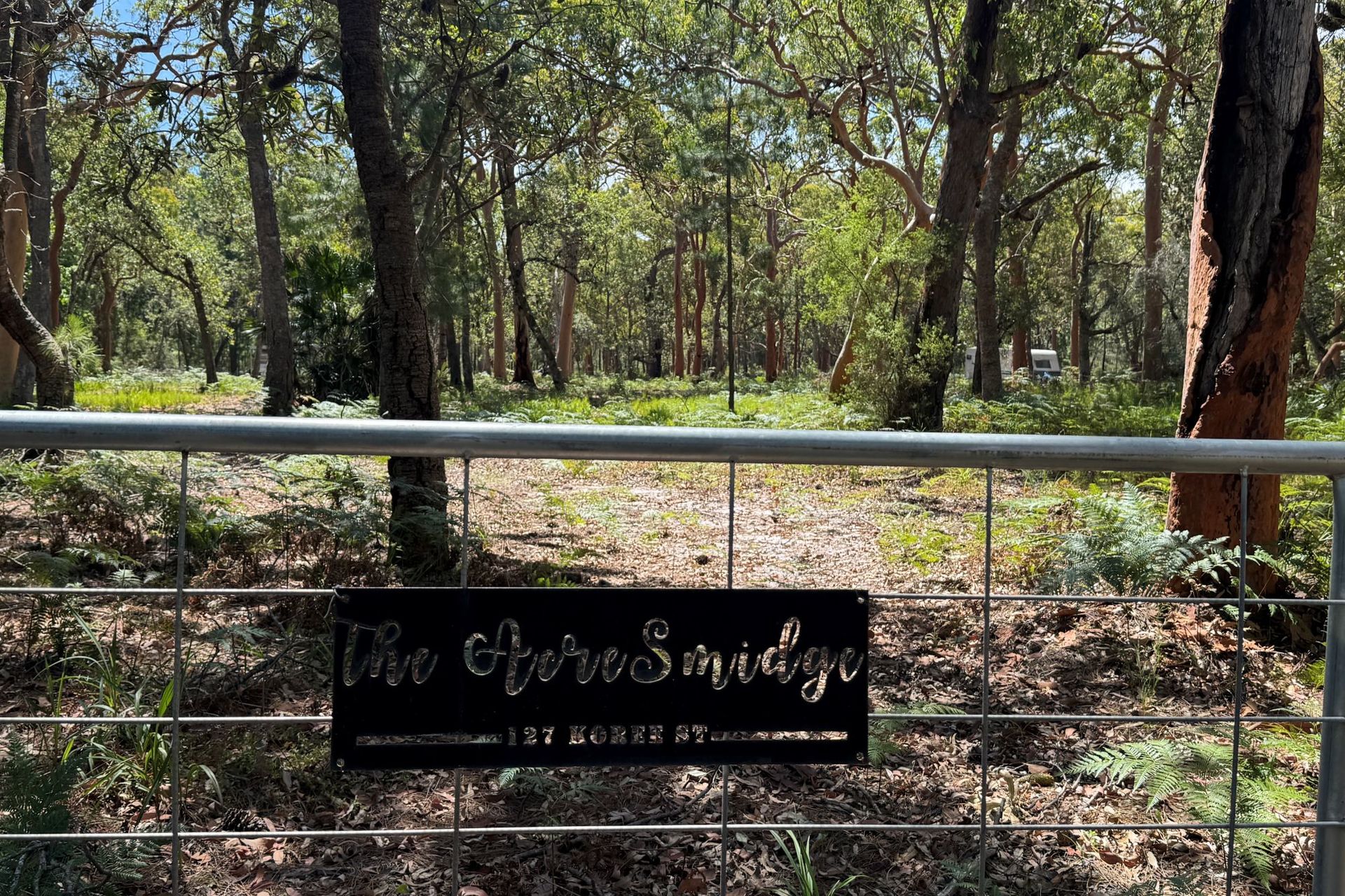 127 Koree Street, Pindimar, Nsw, 2324 - Image 1