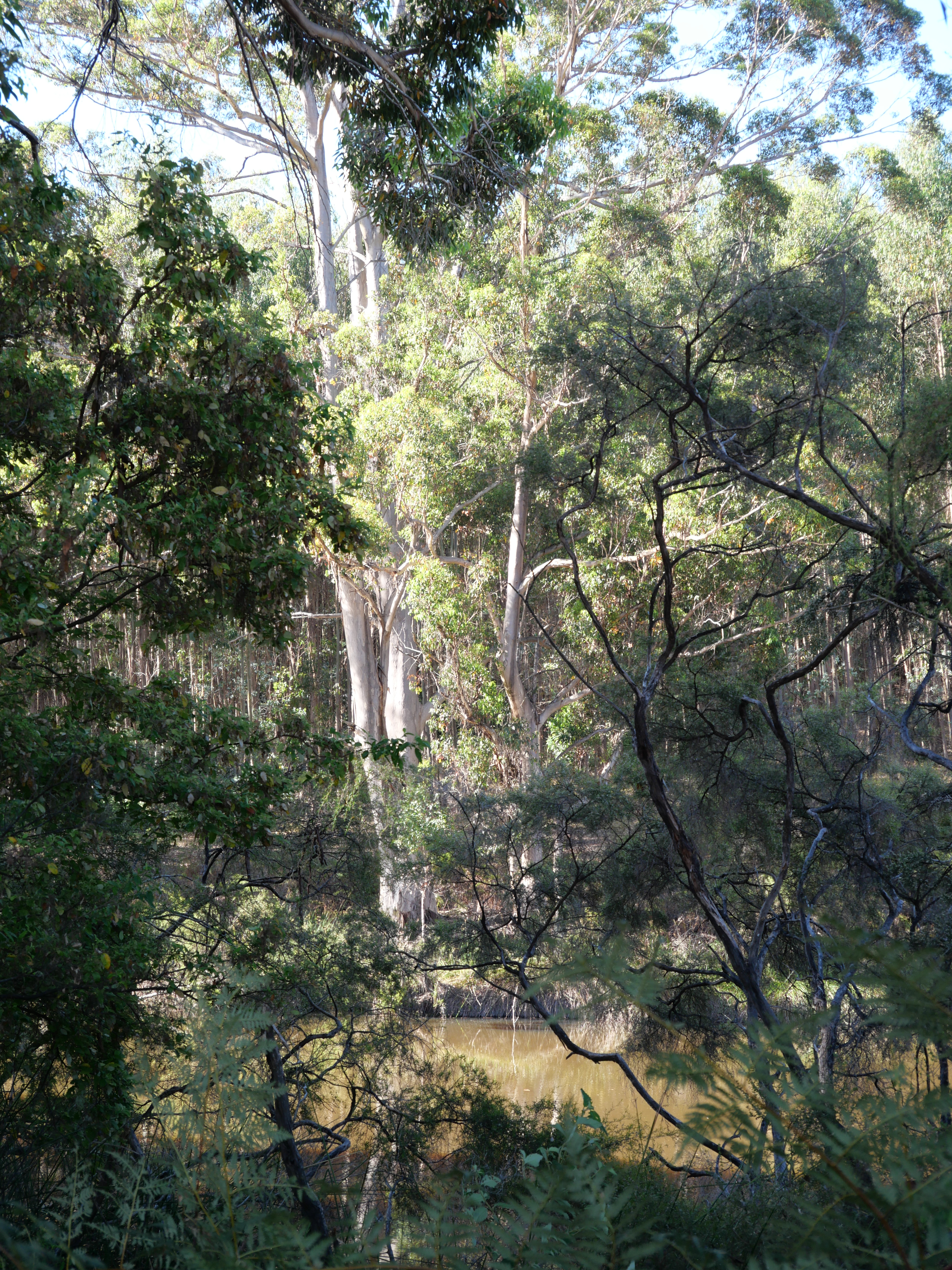 1-bedroom unit at 61 Hayes Road, East Nannup, WA 6275, Nannup, Western Australia