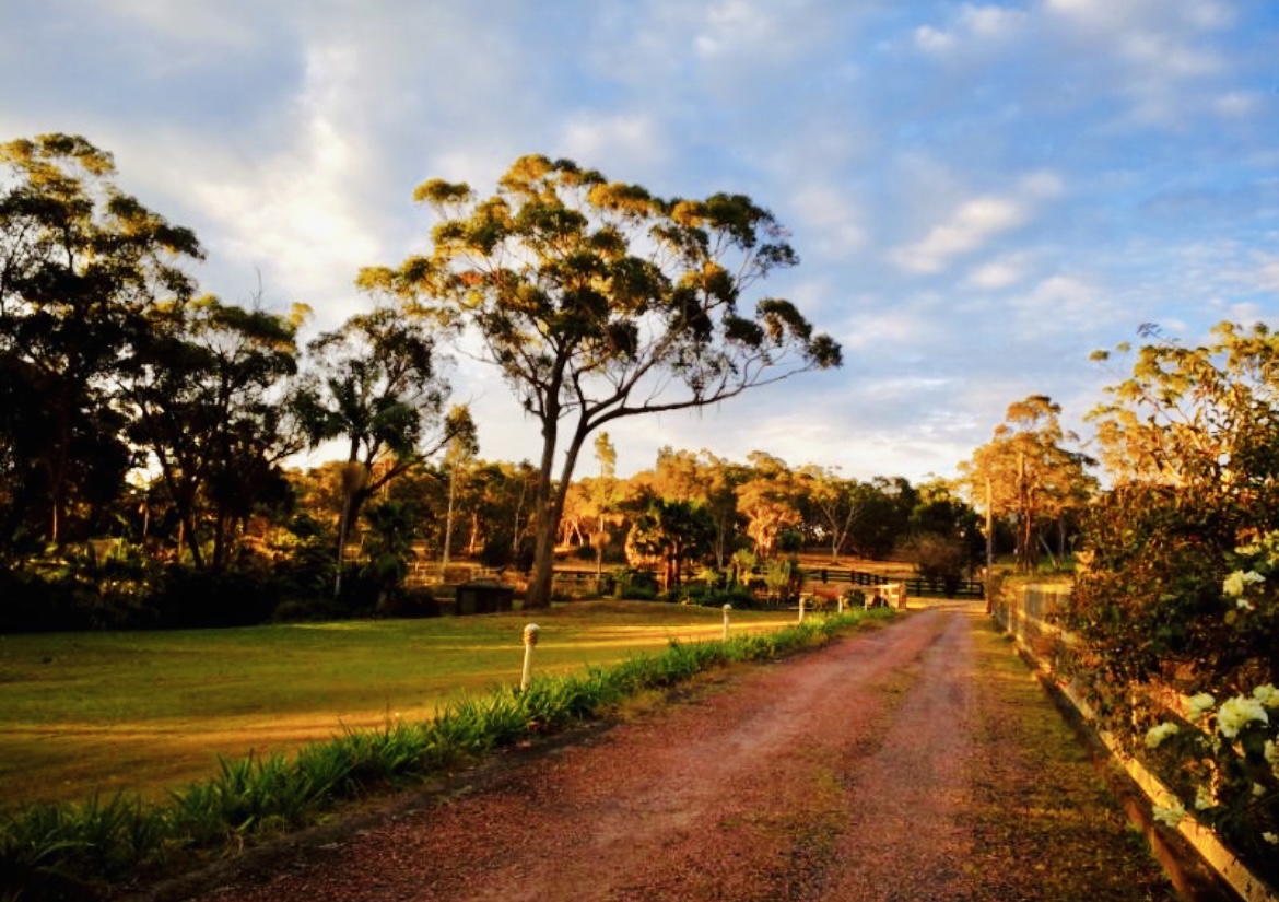 9-bedroom house at 63 Ghilkes Road, Somersby, NSW 2250, , New South Wales