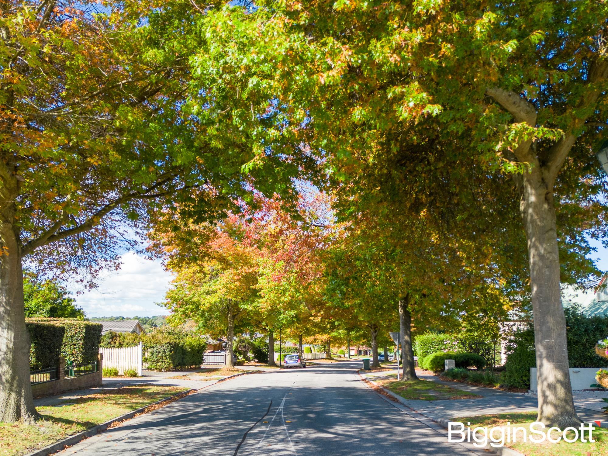 5-bedroom house at 38 Manor Drive, Frankston South, VIC 3199, Frankston, Victoria