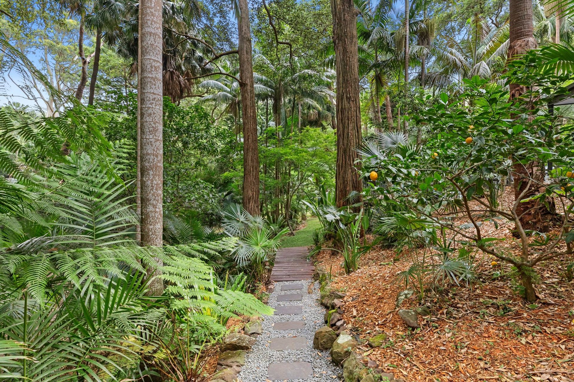 4-bedroom house at 5 Old Coast Road, Stanwell Park, NSW 2508, Wollongong, New South Wales