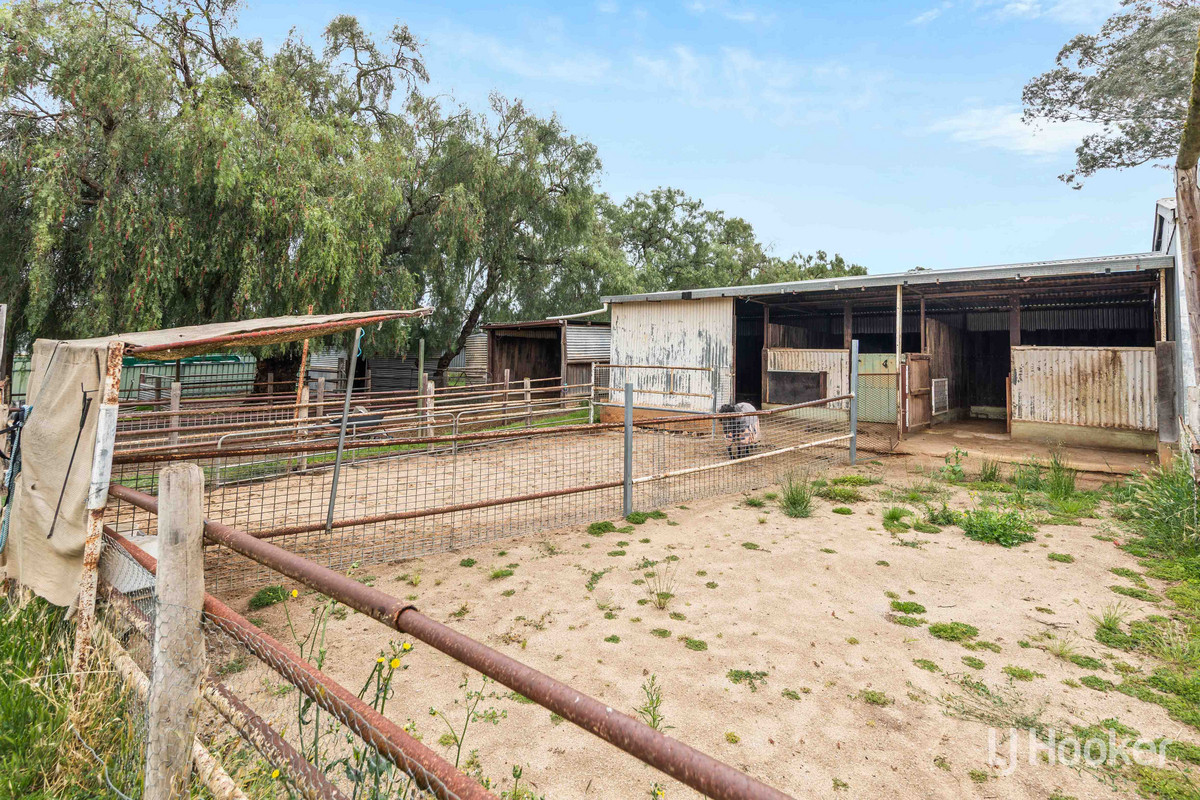 6 EUCALYPT DRIVE, Gawler East SA 5118 - Image 10