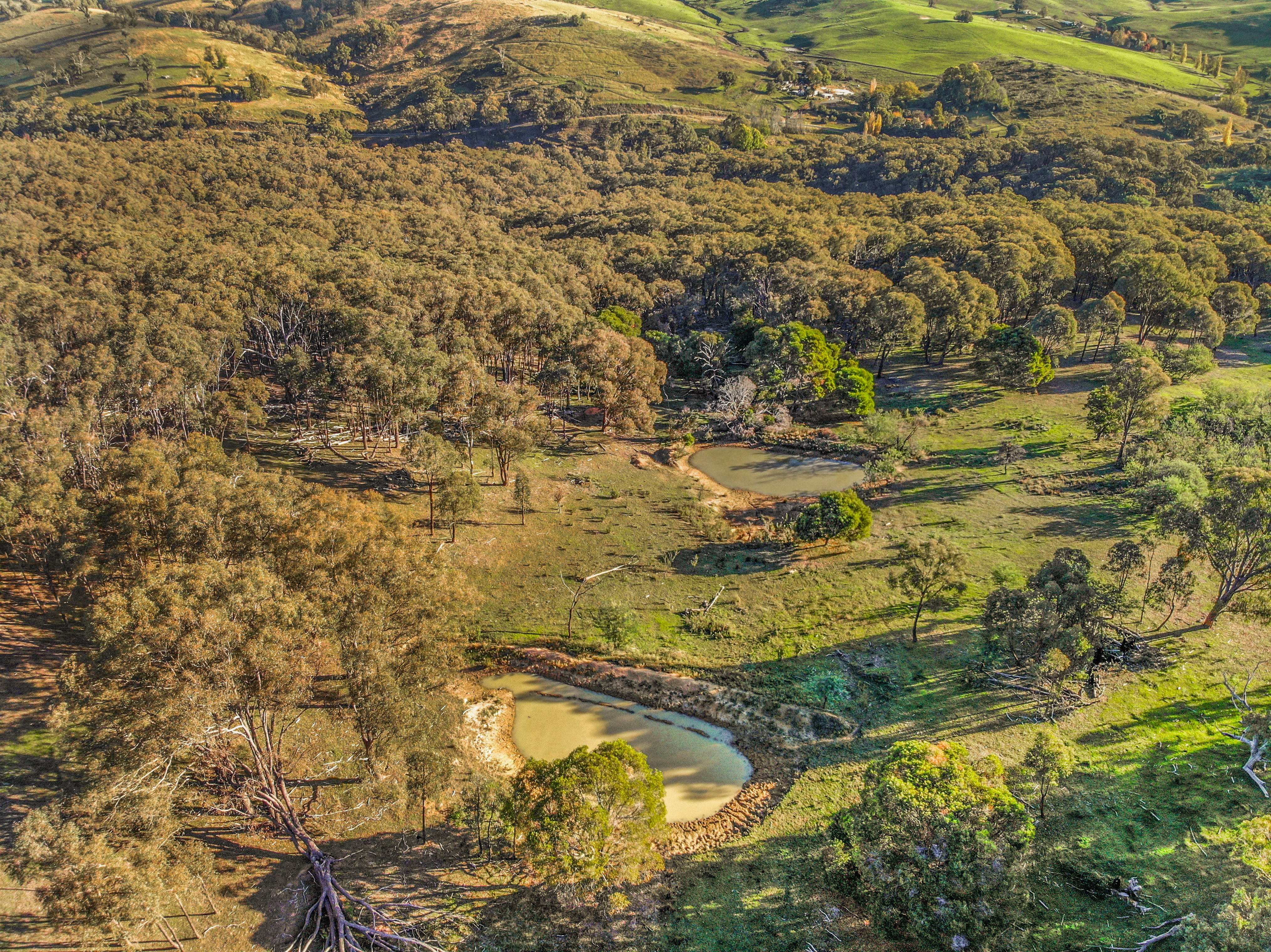 Lot 3 Batlow Road, Tumut, Nsw, 2720 - Image 6