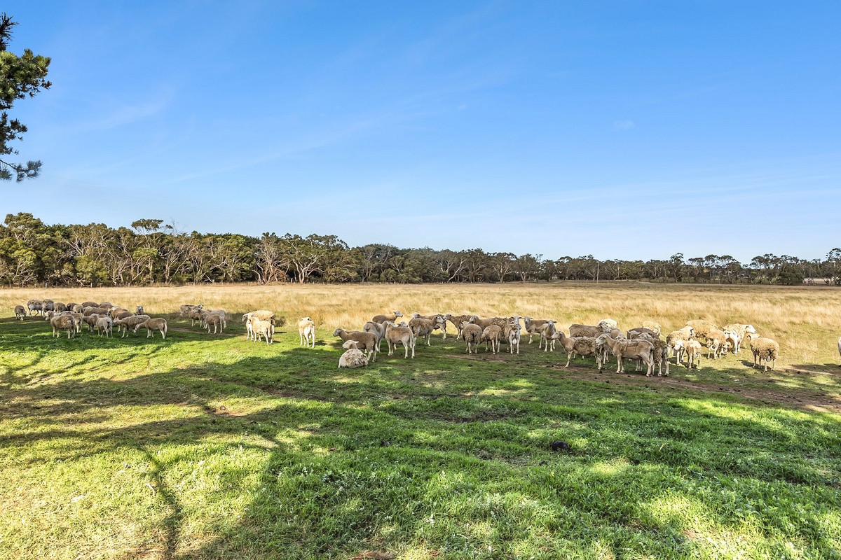 4-bedroom house at 120 Flaxbournes Road, Paraparap, VIC 3240, Surf Coast, Victoria