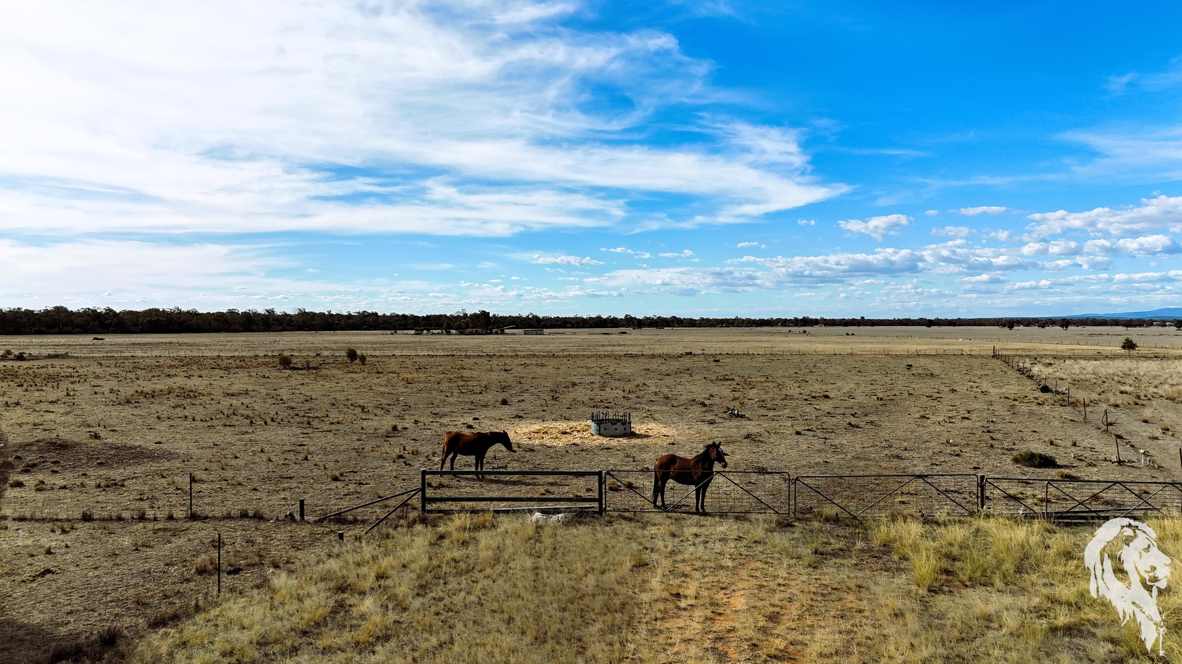 89 Highfield Lane, Narrabri, Nsw, 2390 - Image 4