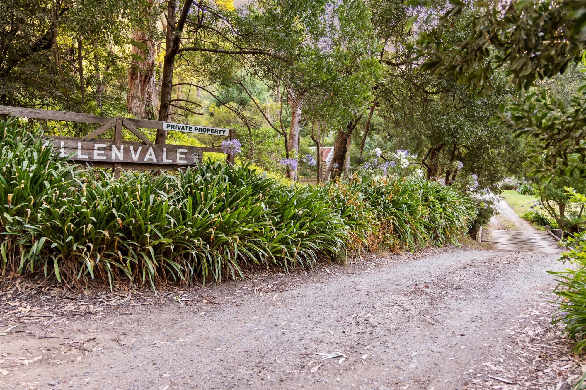 150 Allenvale Road, Lorne, Vic, 3232 - Image 8