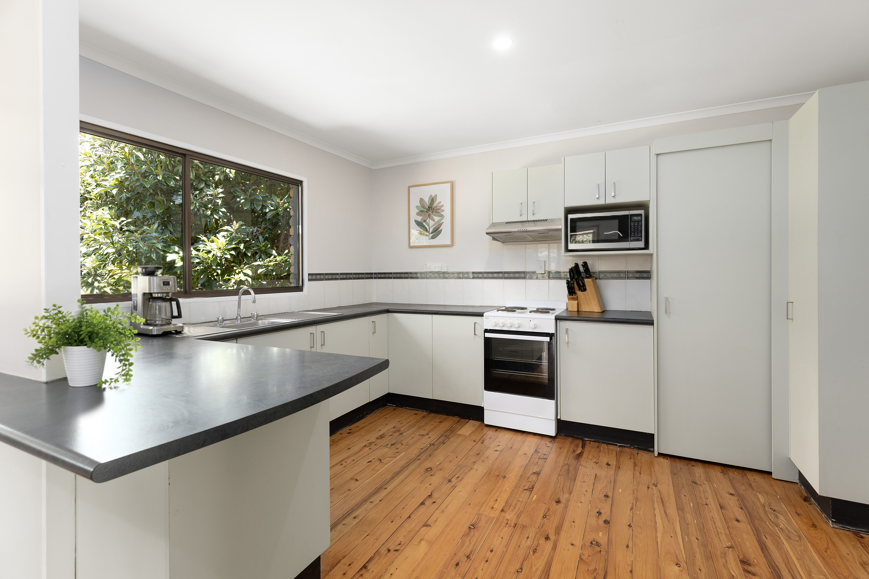 29 Crown Street, Bellingen, NSW 2454 - Image 4
