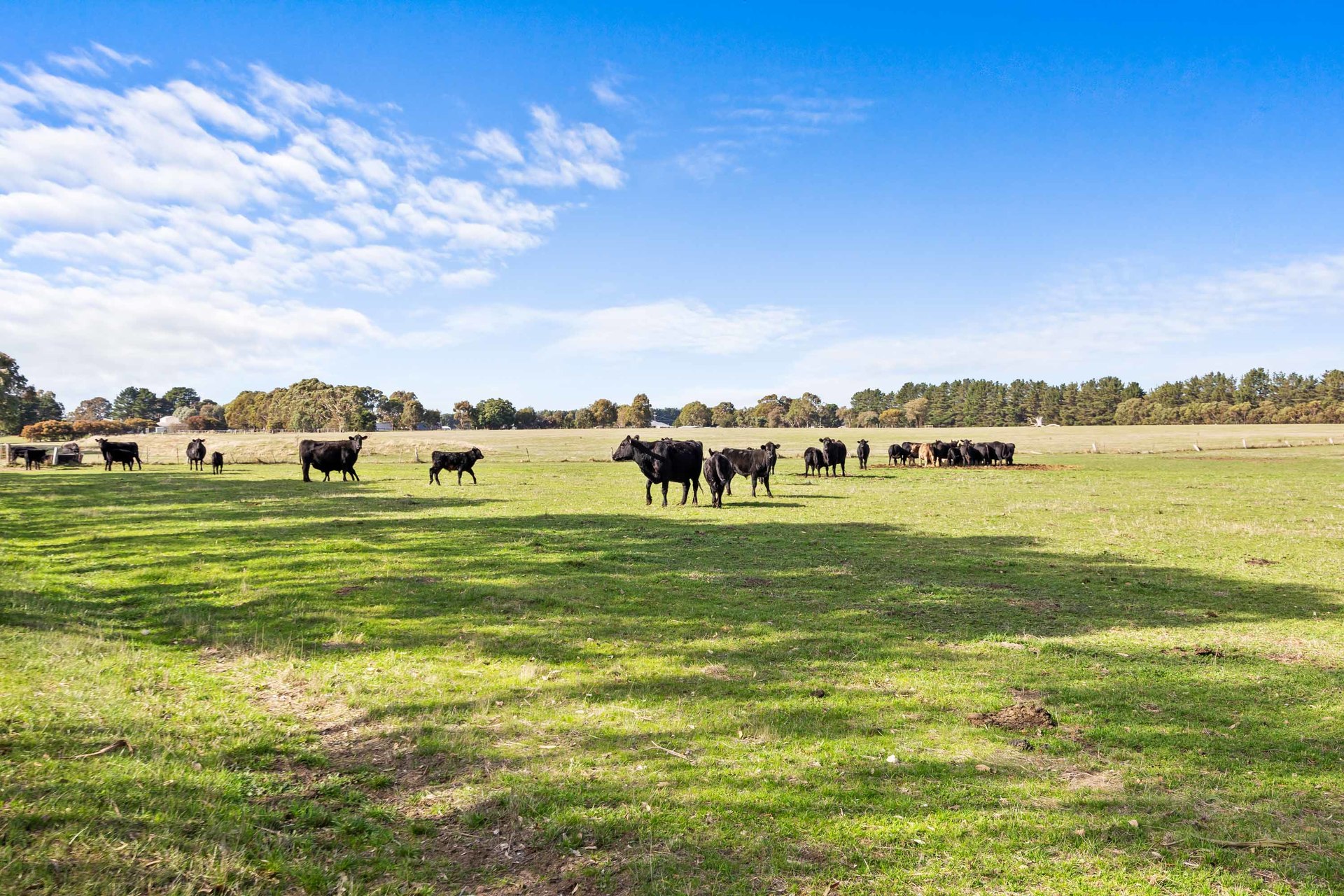 4-bedroom house at 226 Wilsons Road, Haddon, VIC 3351, Golden Plains, Victoria