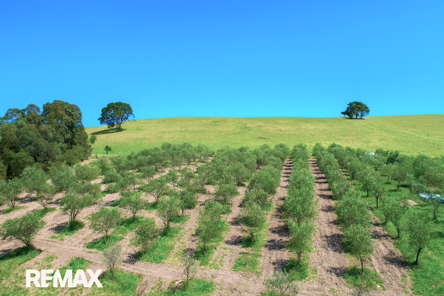 34 Tambo Boulevard, Metung, VIC 3904 - Image 9