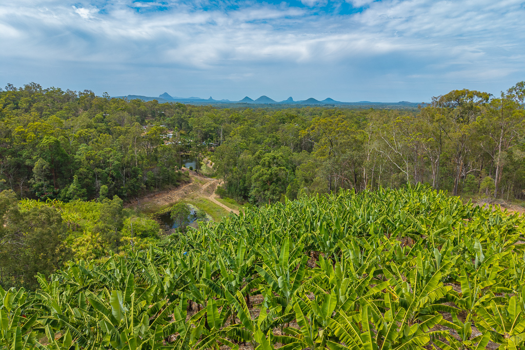 349 Jackson Road, Wamuran, Qld, 4512 - Image 7