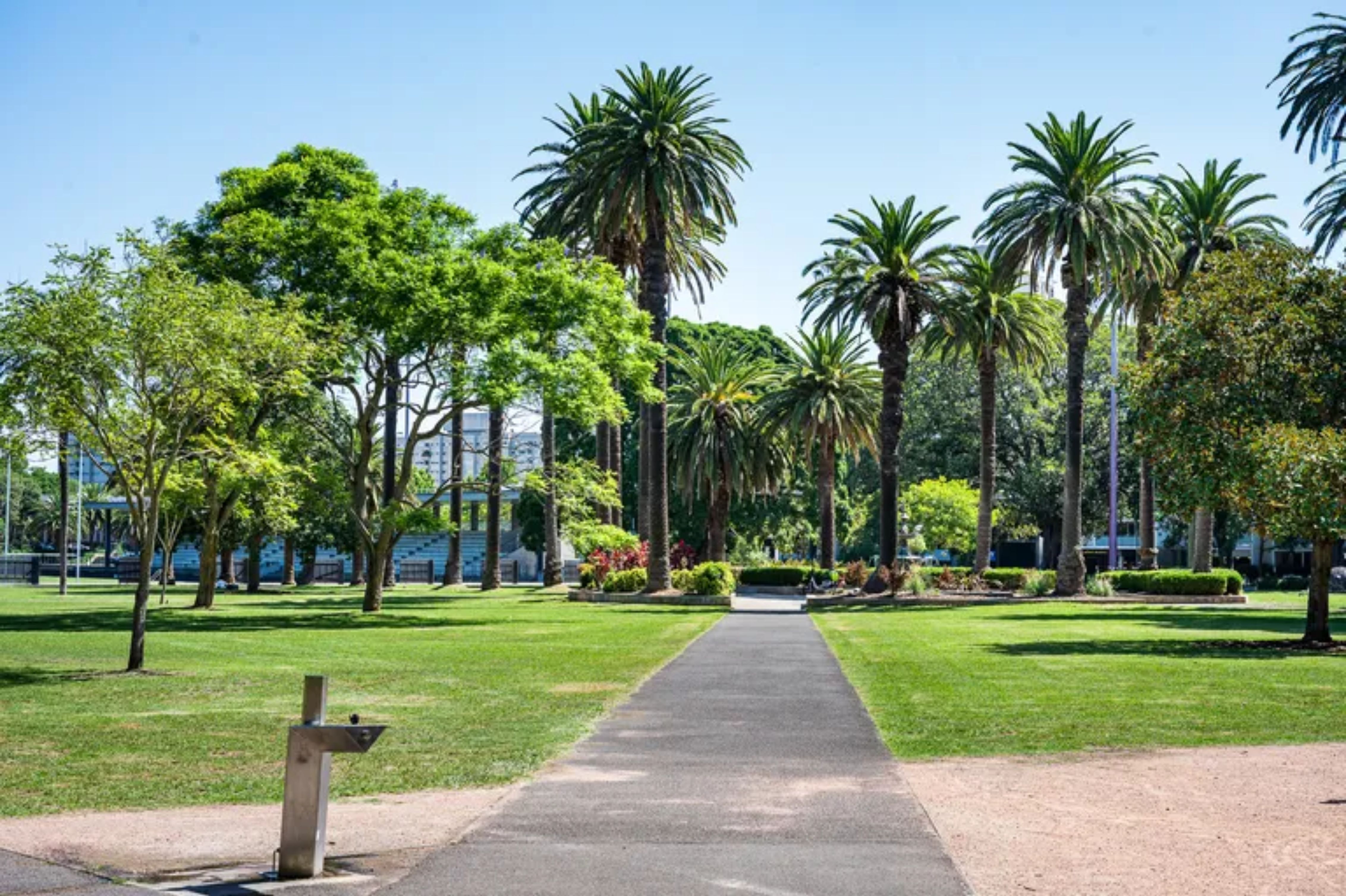 232 Abercrombie Street, Redfern, NSW 2016 - Image 8
