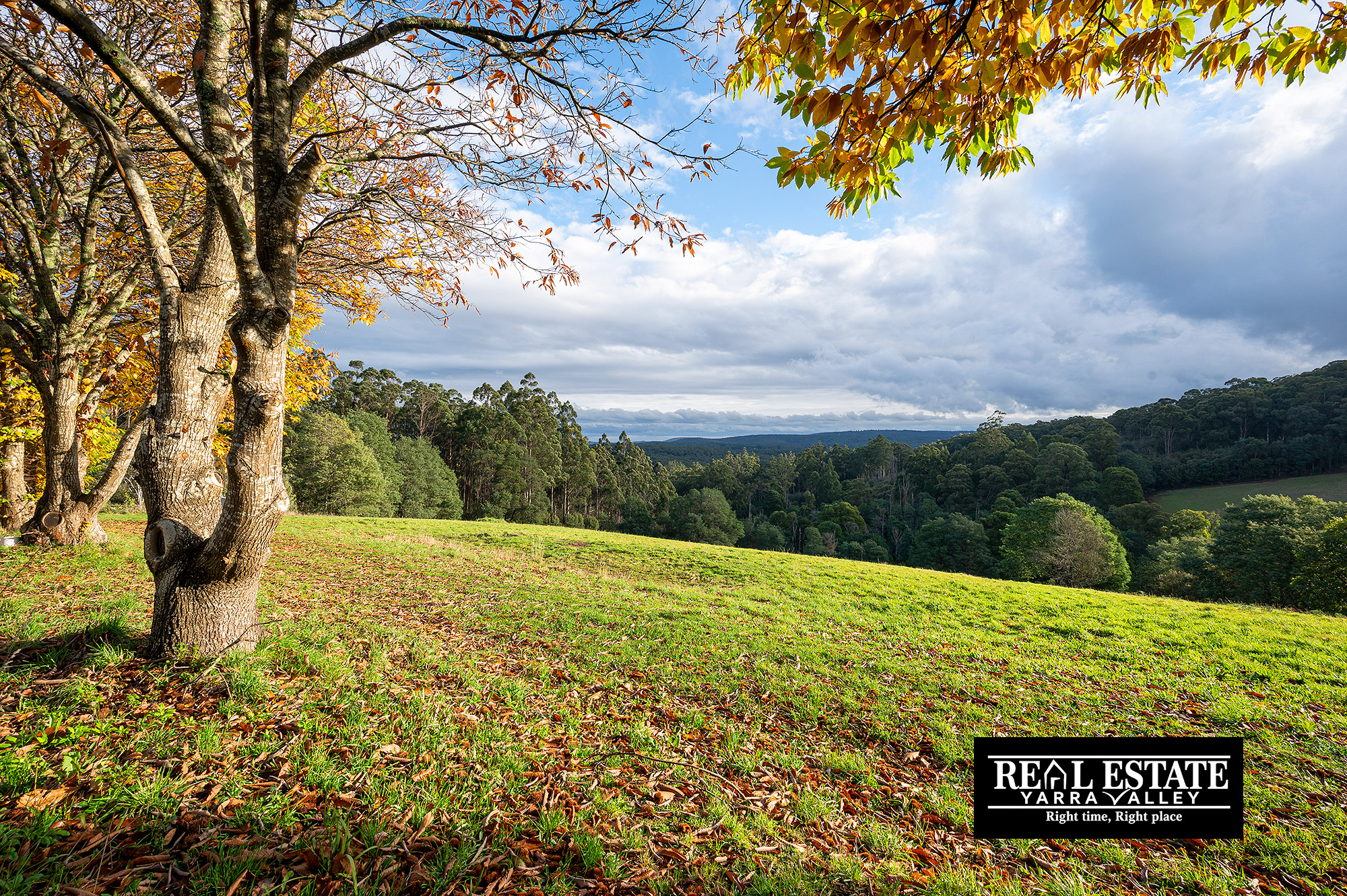 6-bedroom house at 117 Spraggs Road, Toolangi, VIC 3777, Yarra Ranges, Victoria