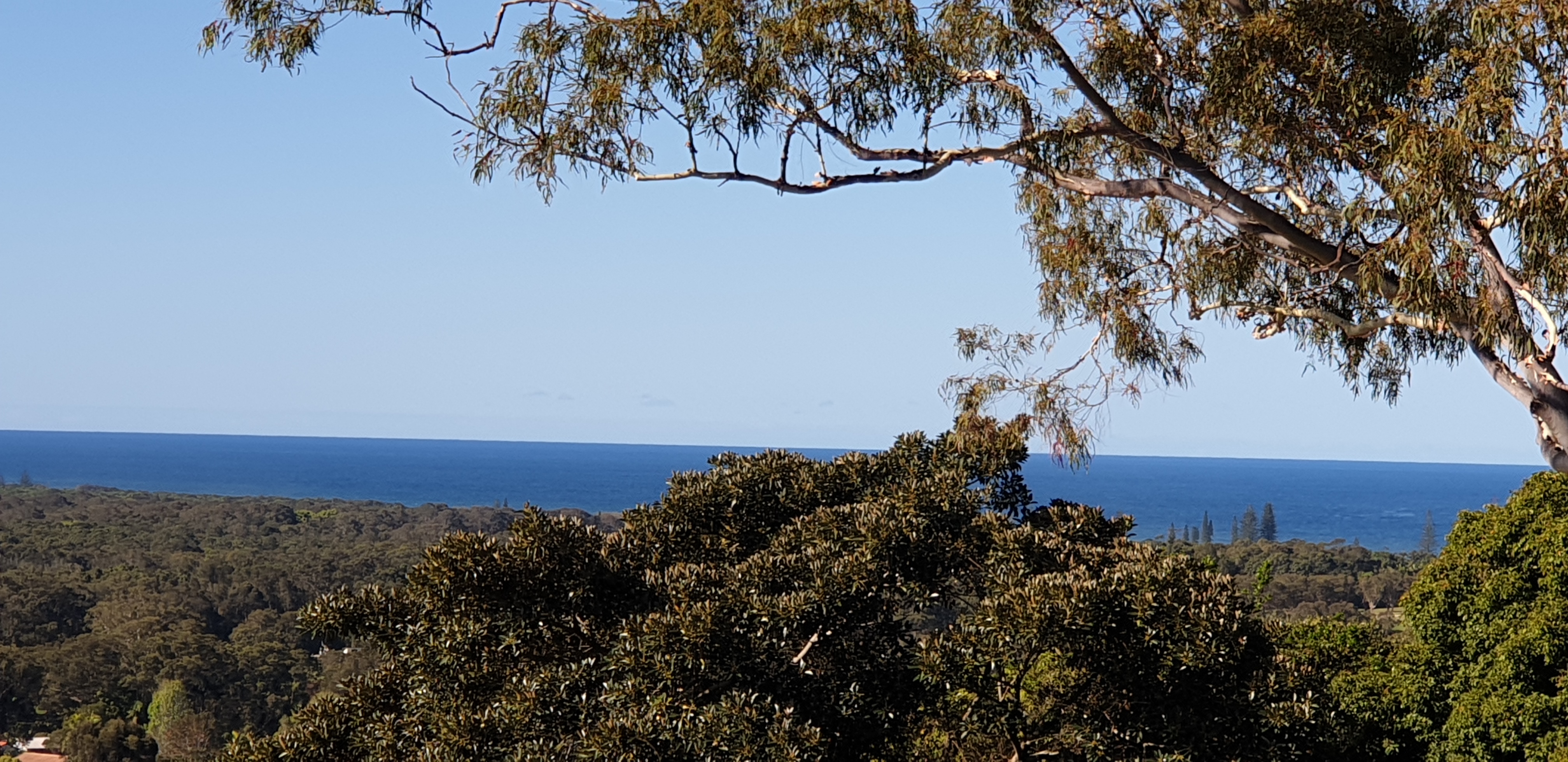 32 TONGARRA DRIVE, Ocean Shores NSW 2483 - Image 9