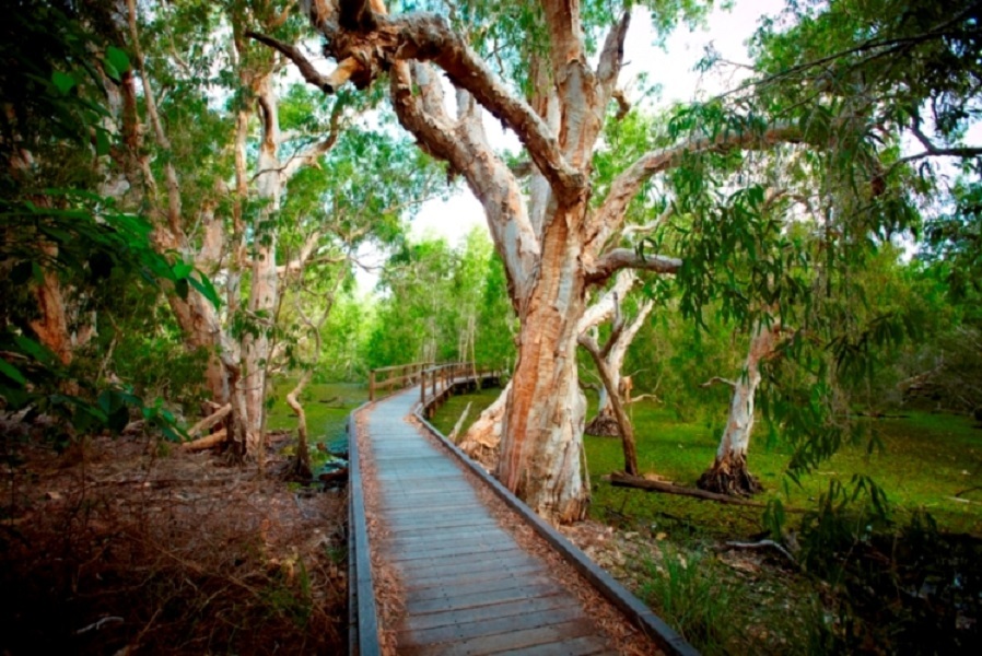 27 PANDANUS DRIVE, Horseshoe Bay QLD 4819 - Image 1