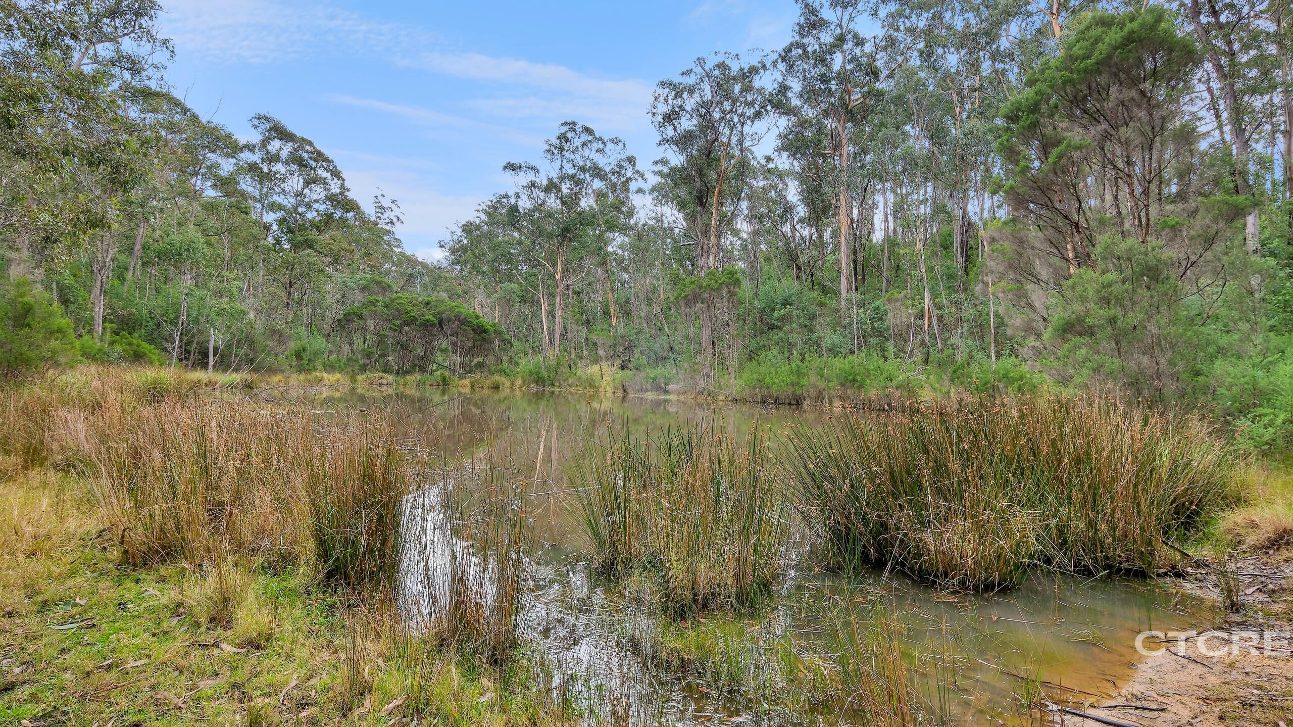 2-bedroom house at 1664 Wangarabell Road, Wangarabell, Vic, 3891, East Gippsland, Victoria