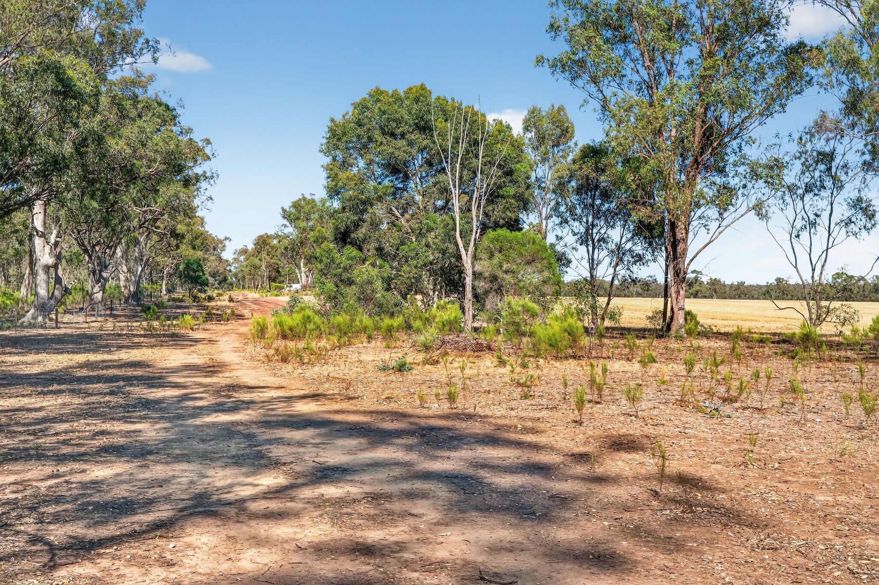99 Winzar Lane, Goornong, Vic, 3557 - Image 9