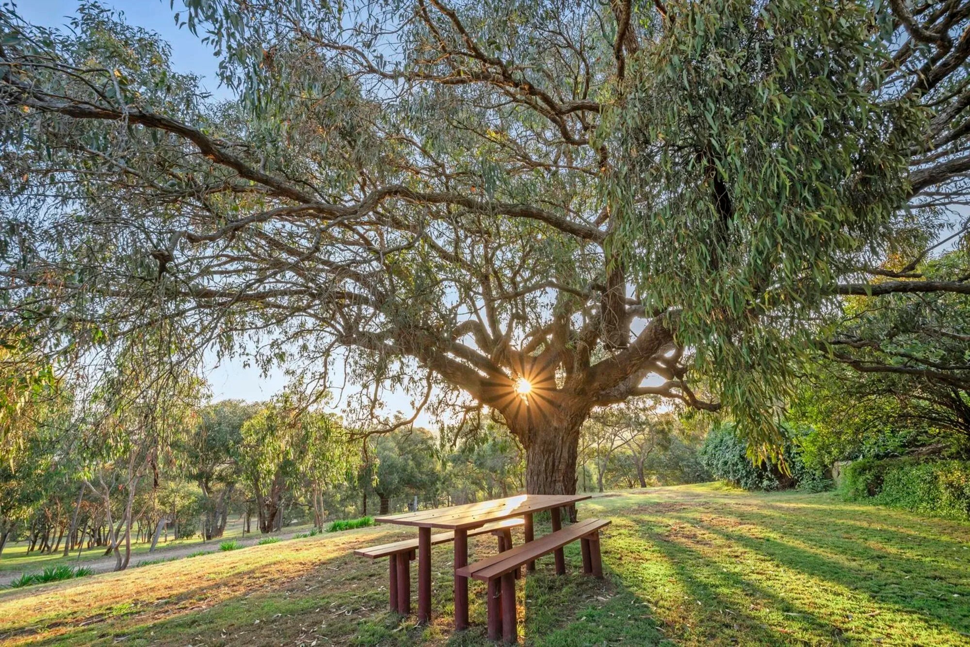8-bedroom house at 221 GRANTS ROAD, Eden Park VIC 3757, Whittlesea, Victoria