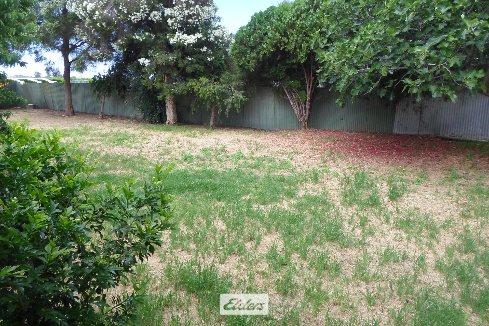 5-bedroom house at 346 Tol Tol Road, Robinvale, Vic, 3549, Swan Hill, Victoria