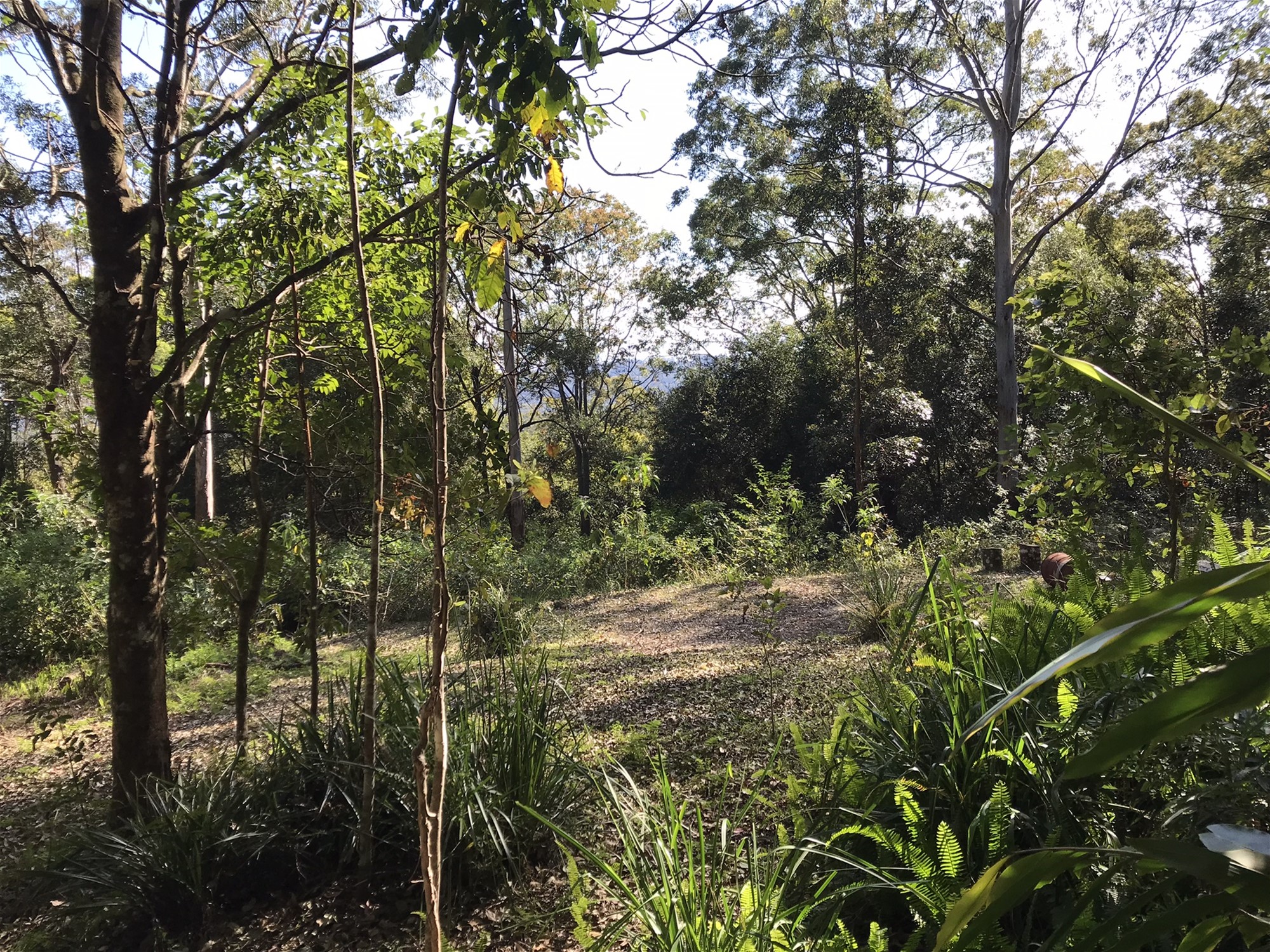 904 Blue Knob Road, Nimbin, Nsw, 2480 - Image 5