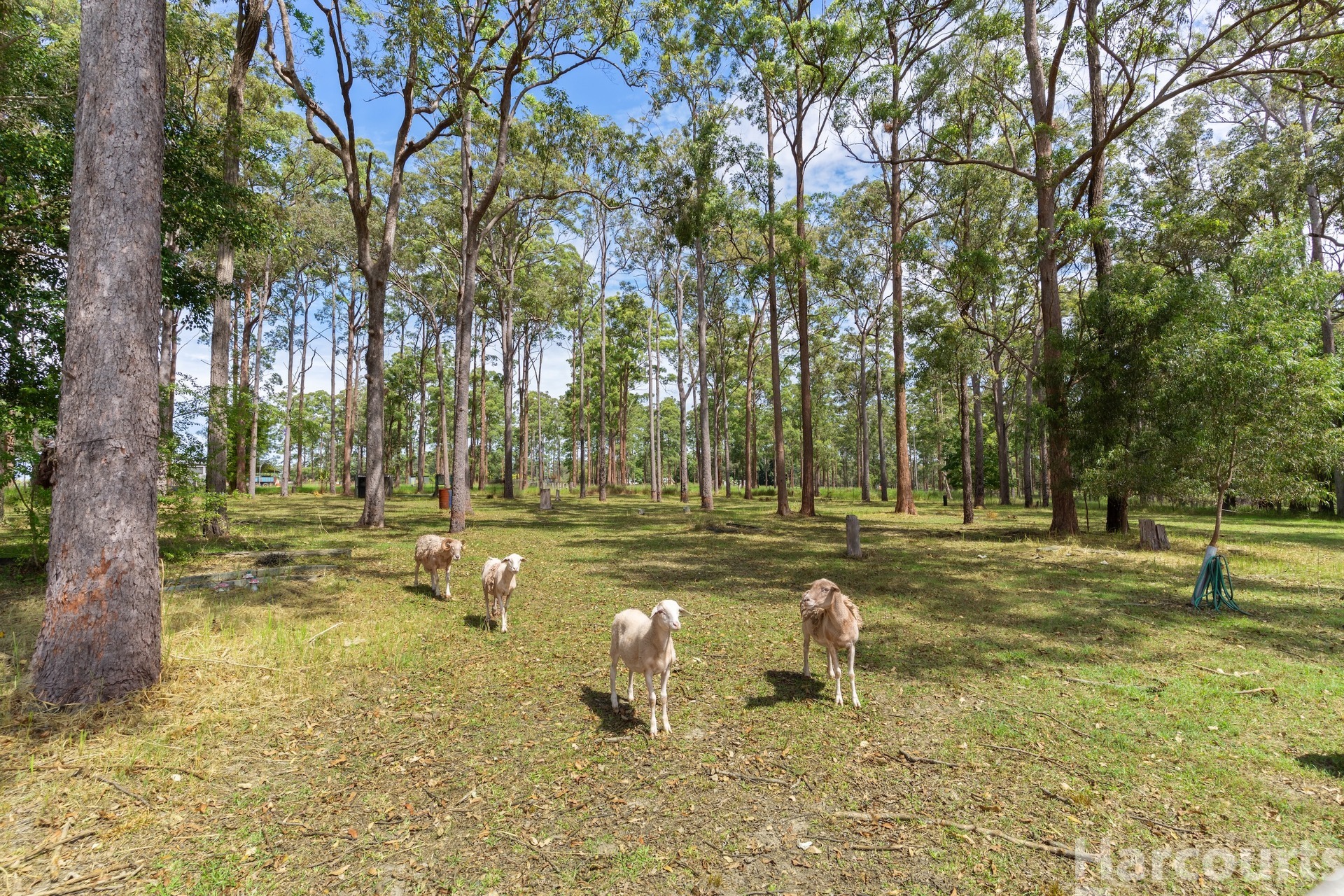 3-bedroom house at 6 Eucalypt Close, Aldavilla, NSW 2440, Kempsey, New South Wales
