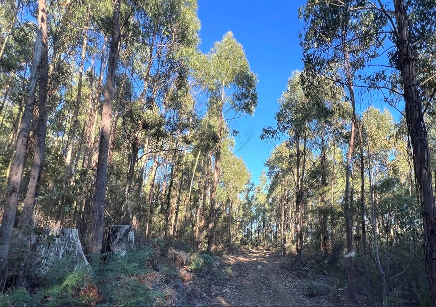 4-bedroom house at 2204 EAST TAMAR HIGHWAY, Mount Direction TAS 7252, George Town, Tasmania