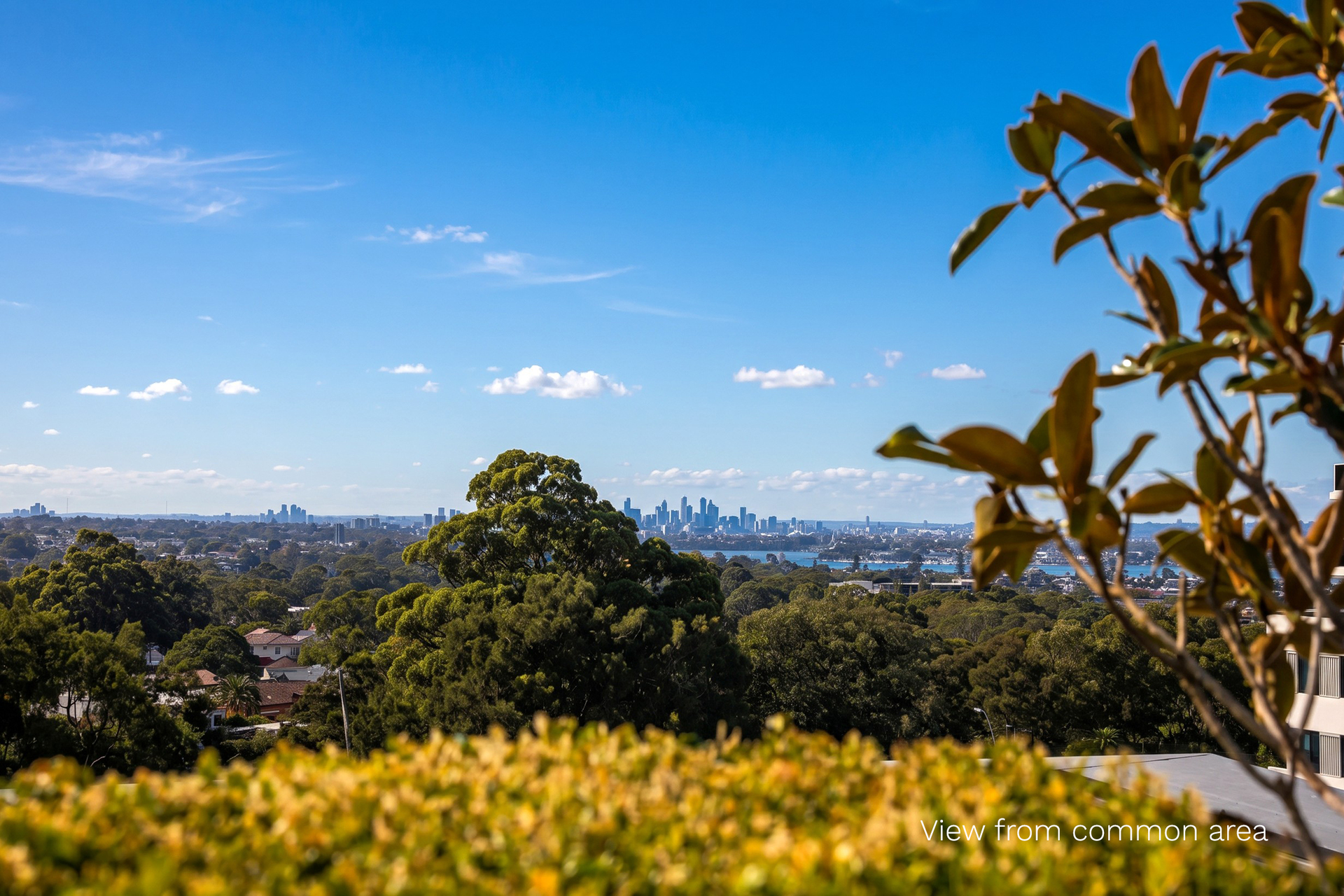 403 22 PINNACLE STREET, MIRANDA NSW 2228 - Image 8