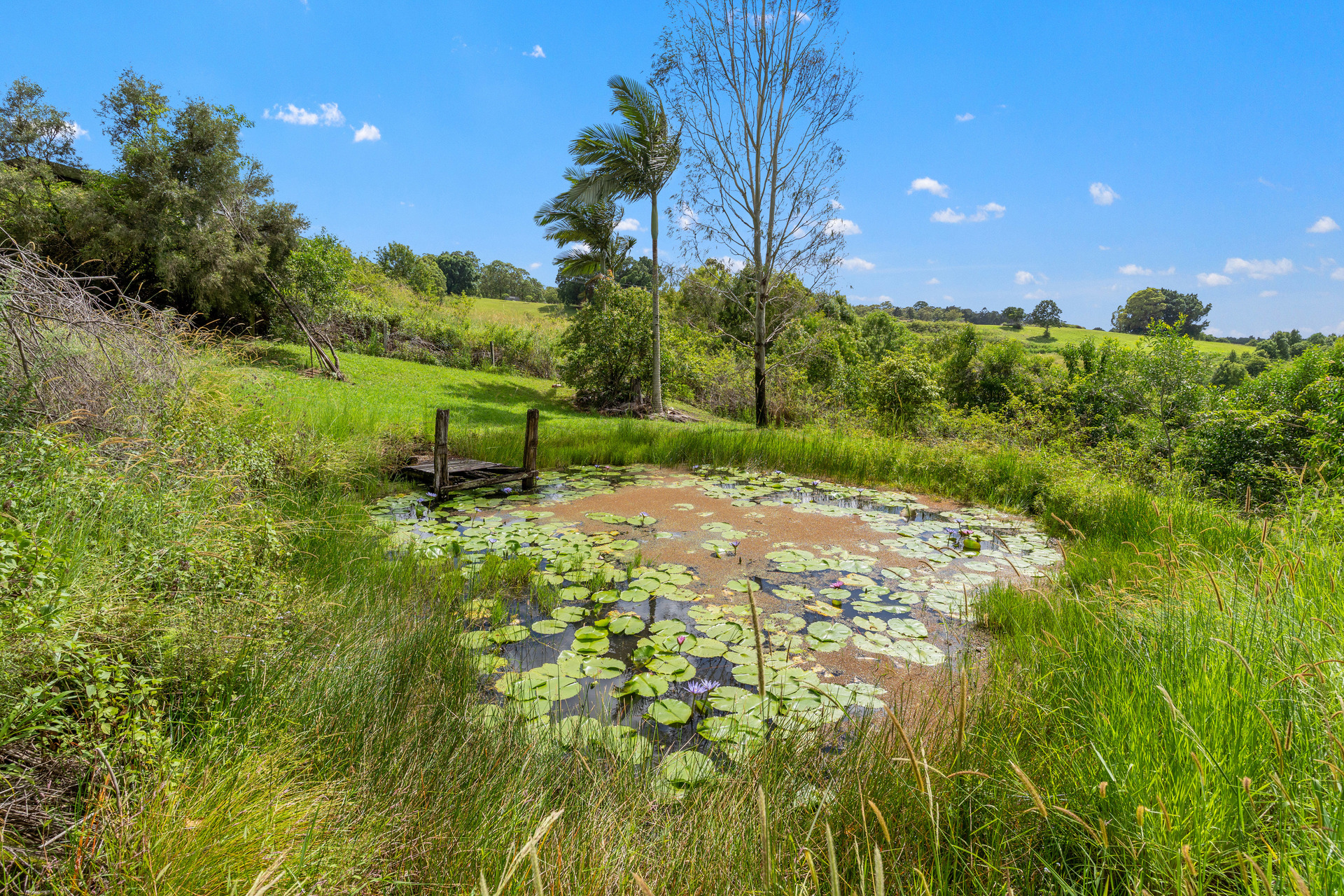 4-bedroom house at 582 DUNOON ROAD, Tullera NSW 2480, Lismore, New South Wales