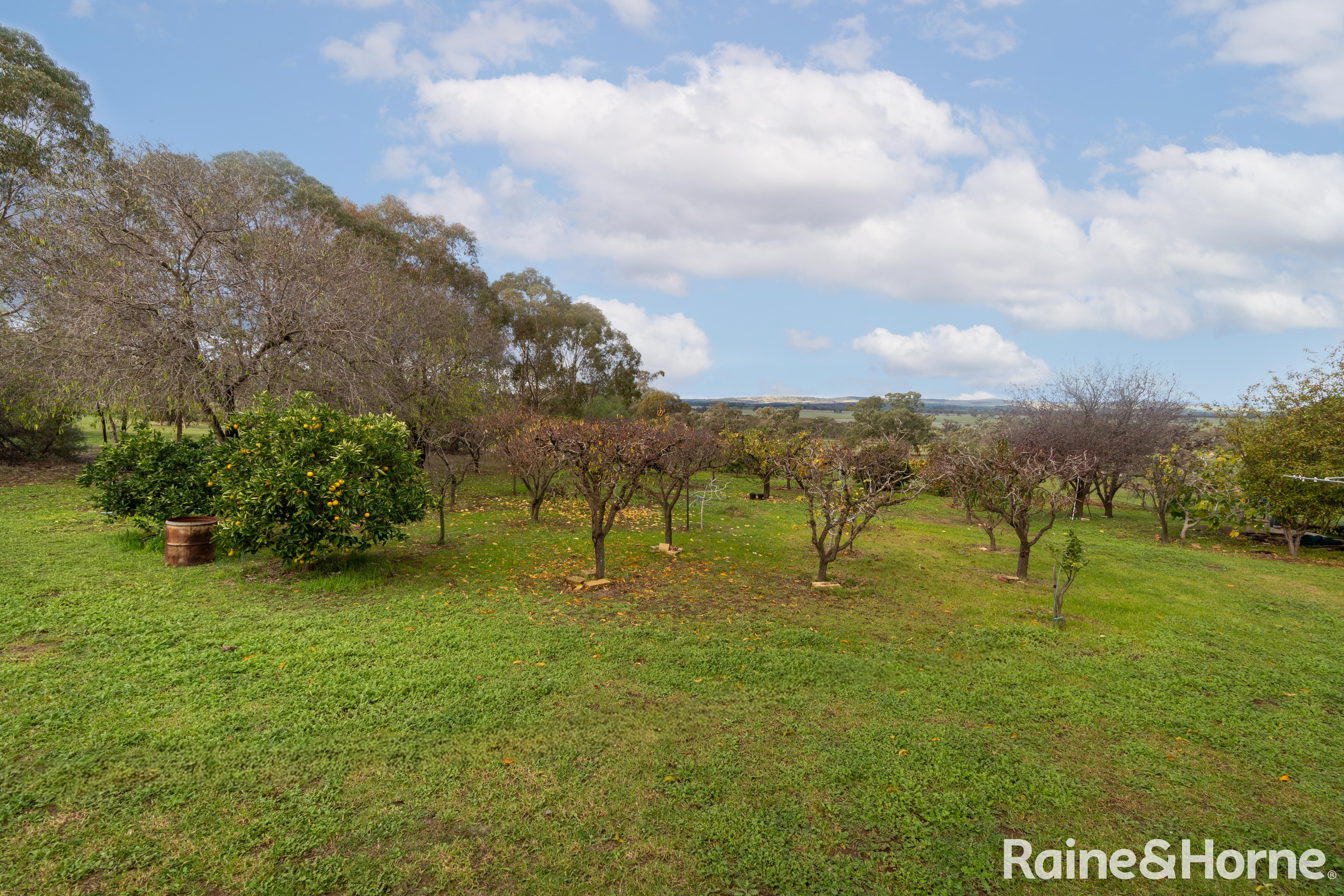 5-bedroom house at 21 Brucedale Drive, Brucedale, NSW 2650, Wagga Wagga, New South Wales