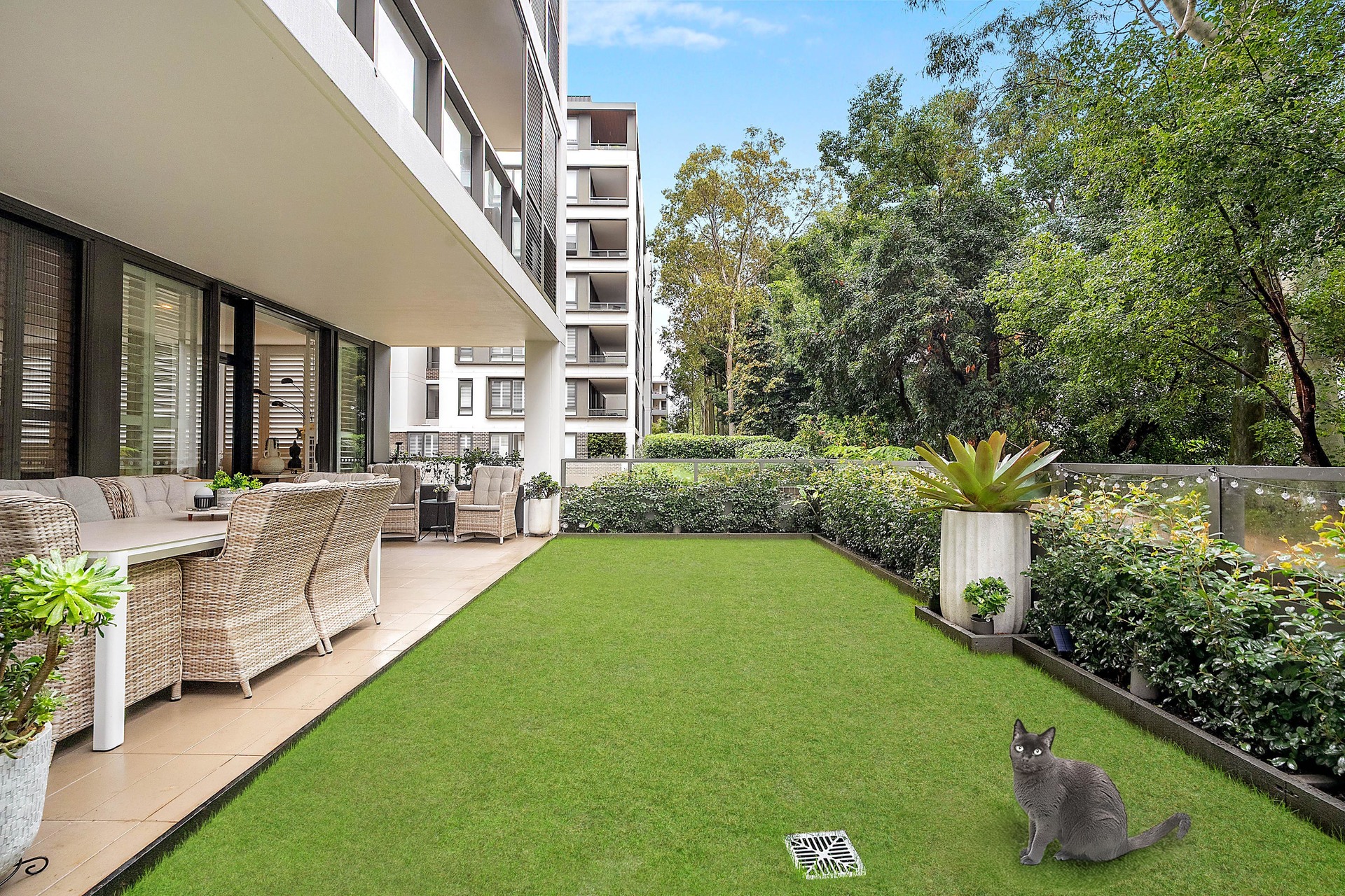1 Lardelli Drive, Ryde, NSW 2112 - Image 1