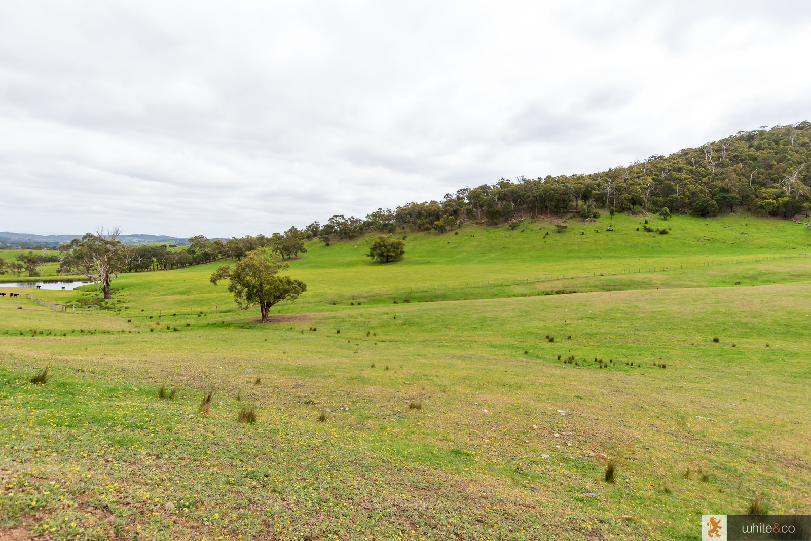 210 Dalls Road, Whittlesea, Vic, 3757 - Image 4