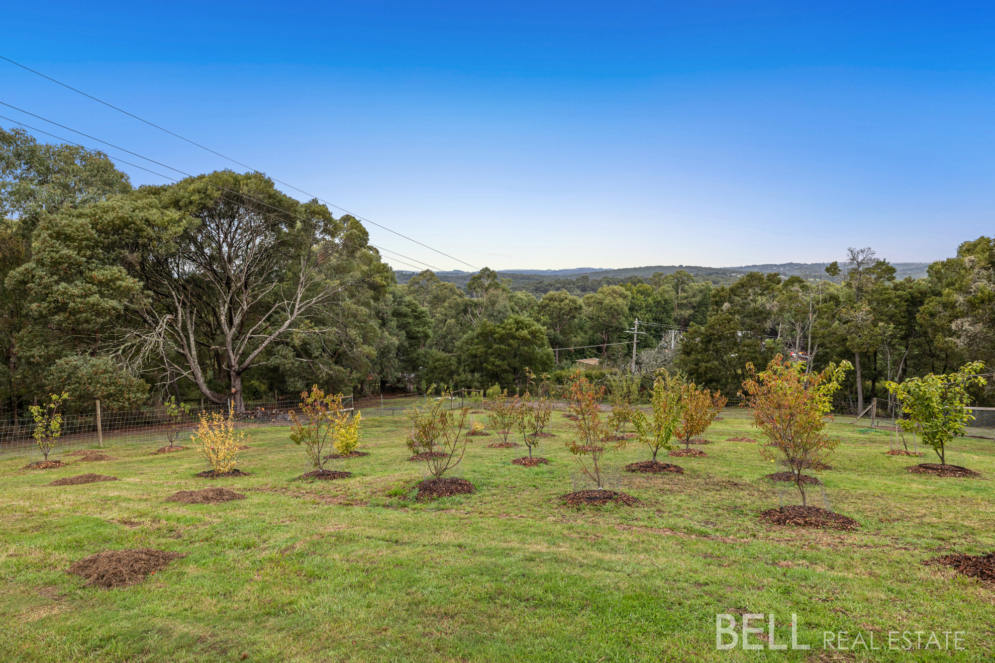 4-bedroom house at 120 HOLLIS ROAD, Silvan VIC 3795, Yarra Ranges, Victoria