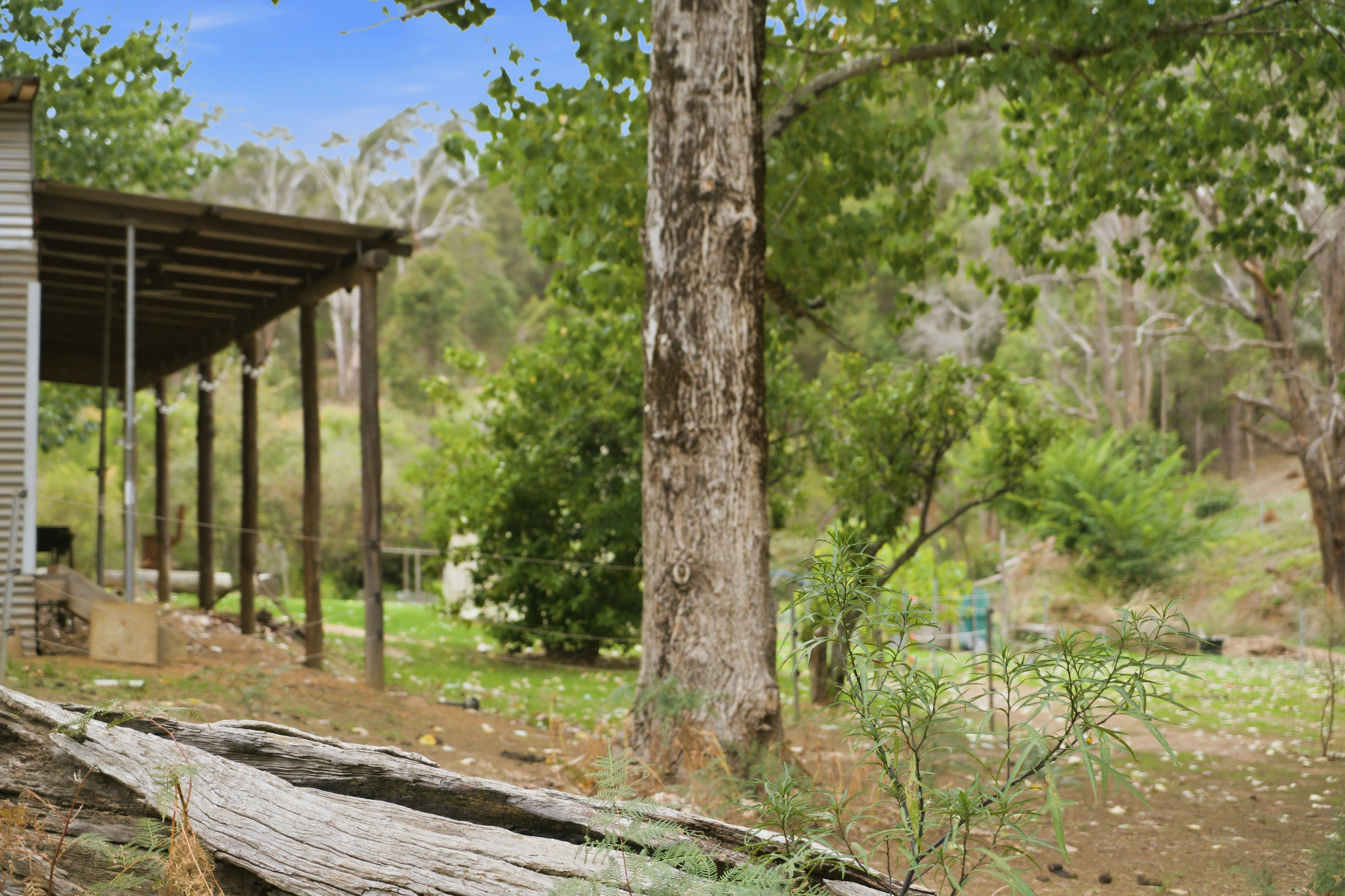 1-bedroom house at 267 Gold Gully Road, East Nannup, WA 6275, Nannup, Western Australia