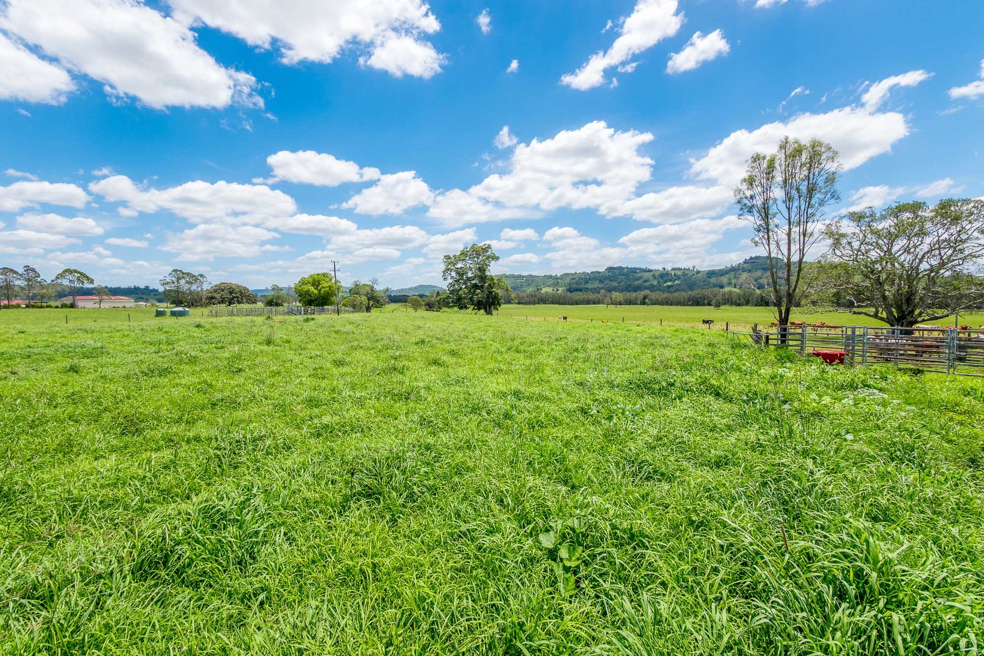 3-bedroom house at 933 Bruxner Highway, South Gundurimba, NSW 2480, Lismore, New South Wales